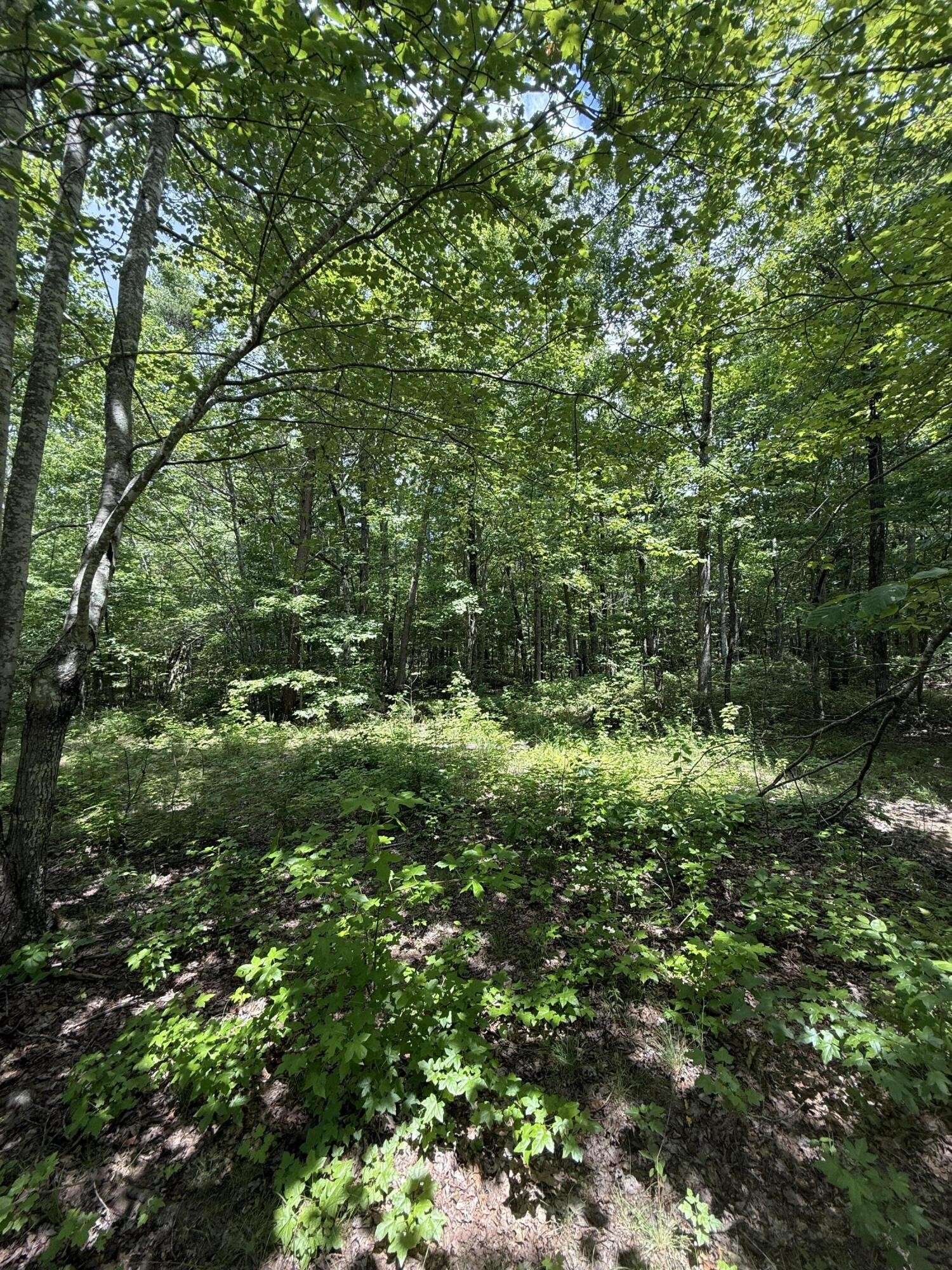 6 Greenfields Way #N, Dunlap, TN 37327
