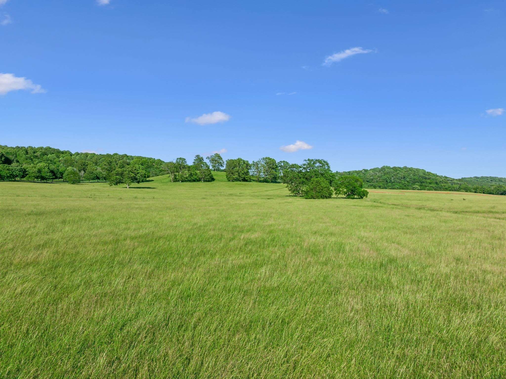3201 Carl Rd, Franklin, TN 37064