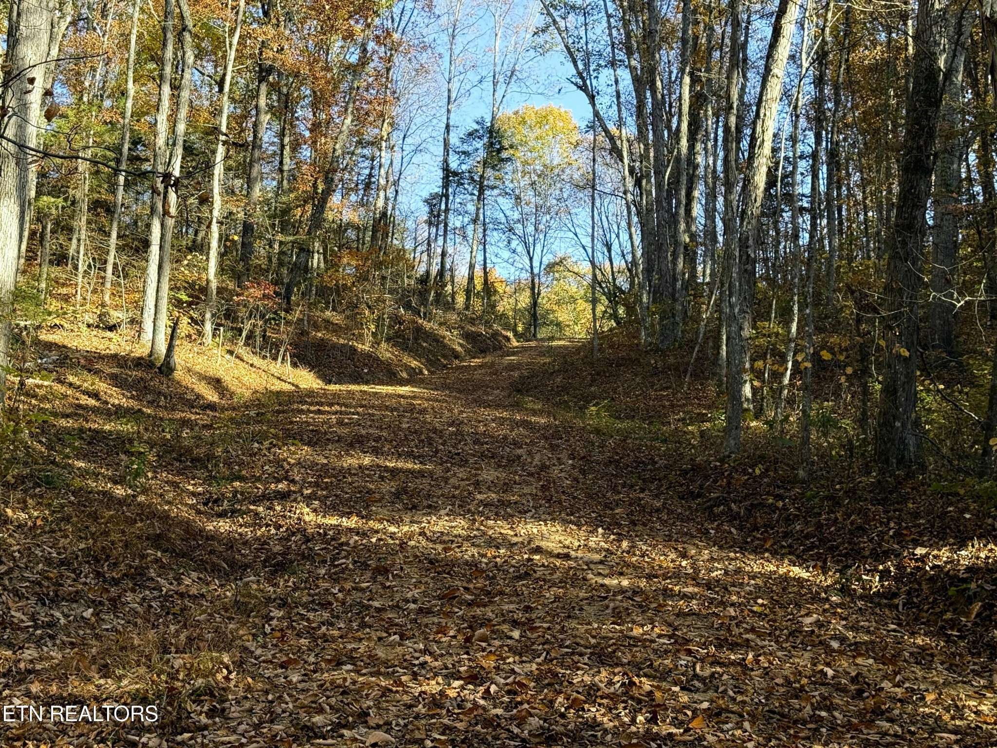 4 Topaz Way, Parrottsville, TN 37843