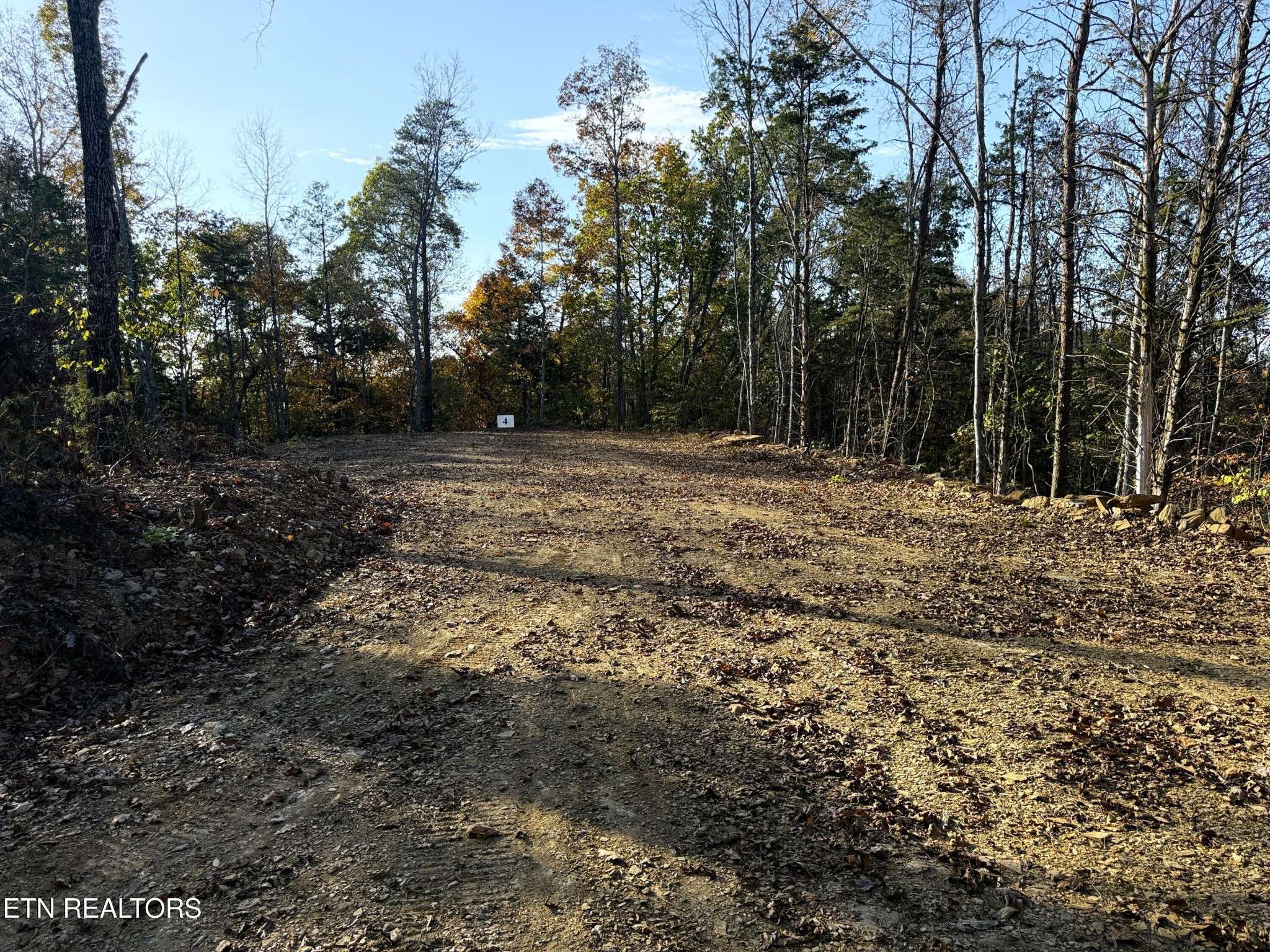 4 Topaz Way, Parrottsville, TN 37843