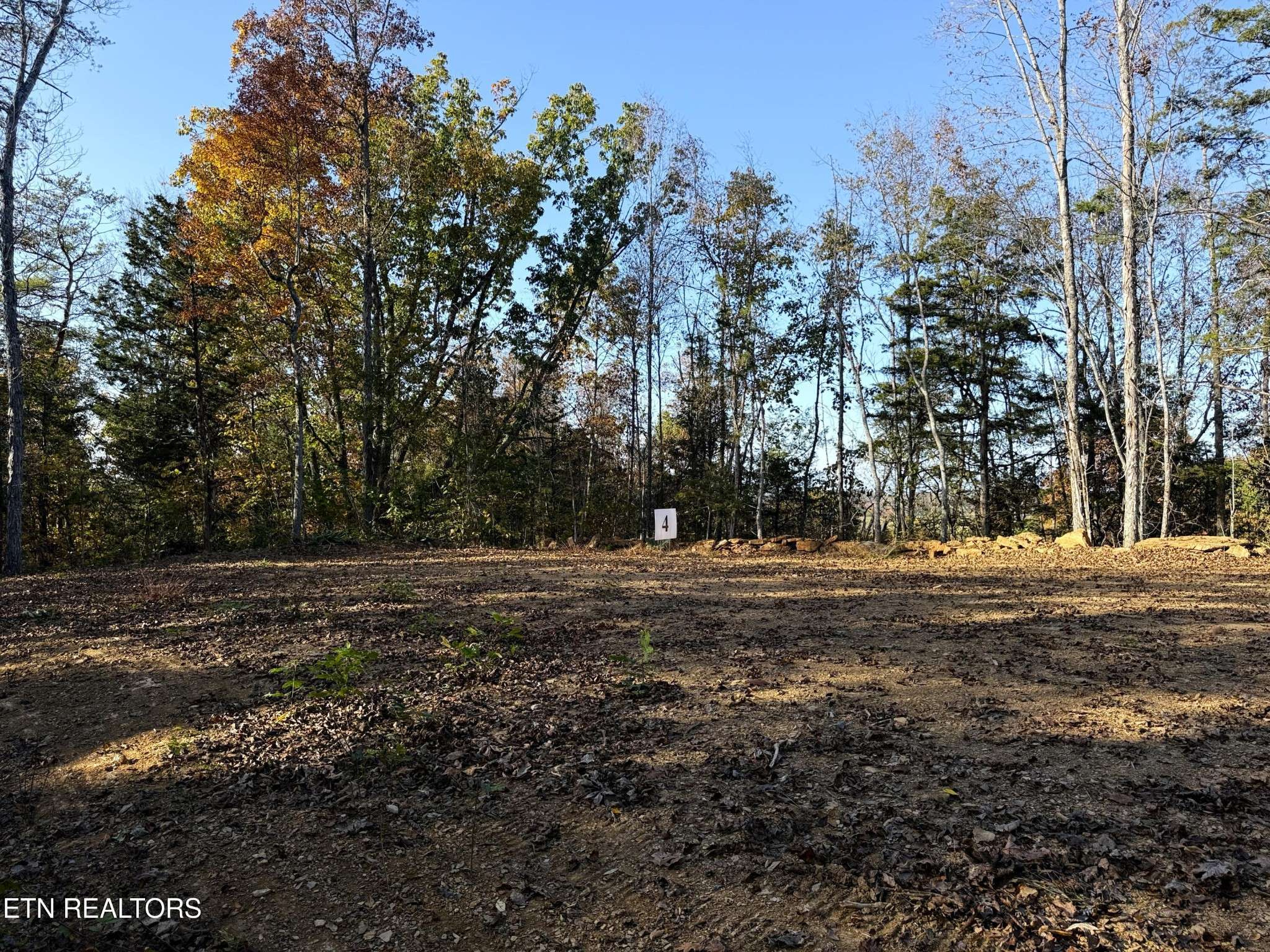 4 Topaz Way, Parrottsville, TN 37843