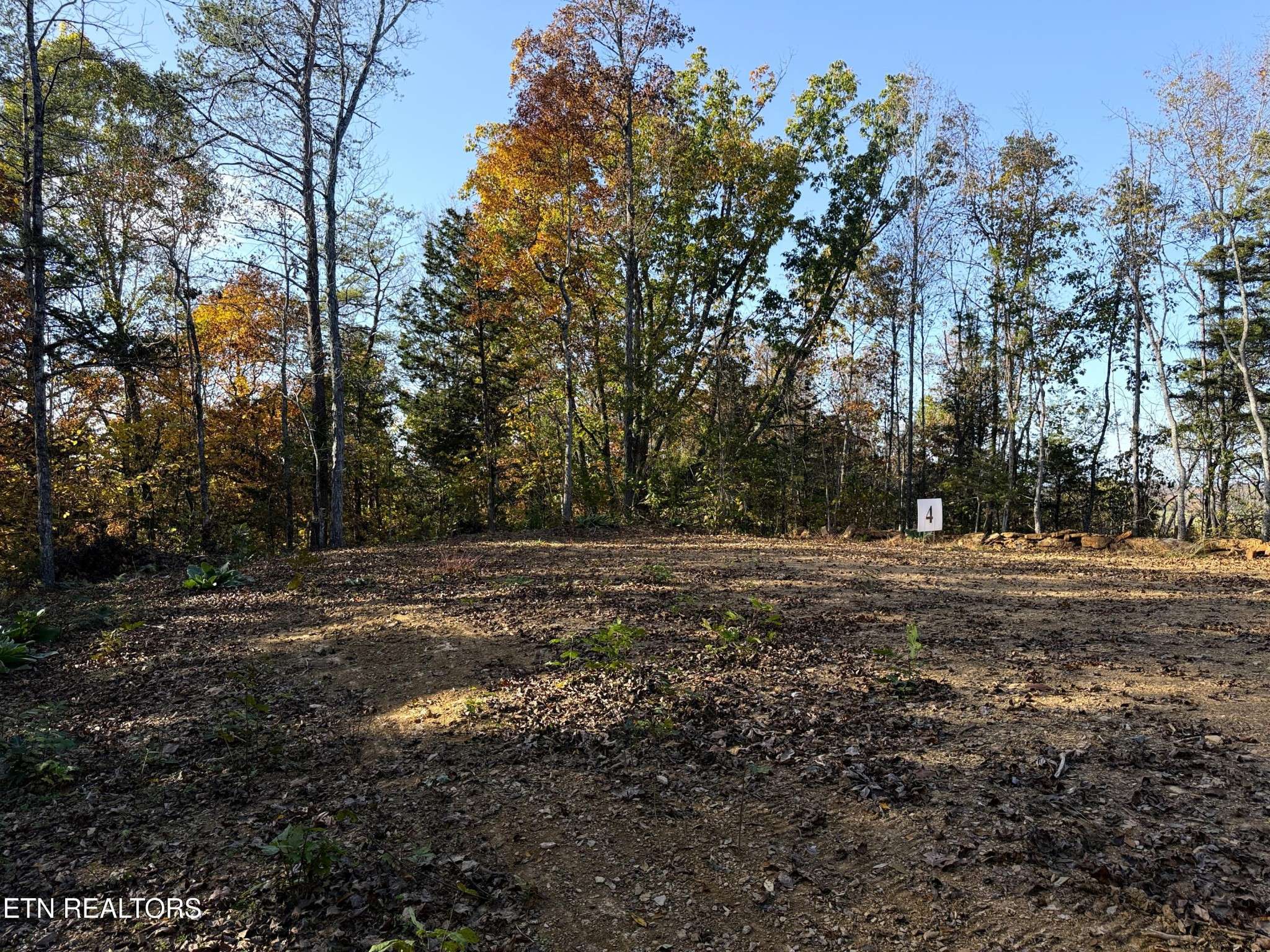 4 Topaz Way, Parrottsville, TN 37843