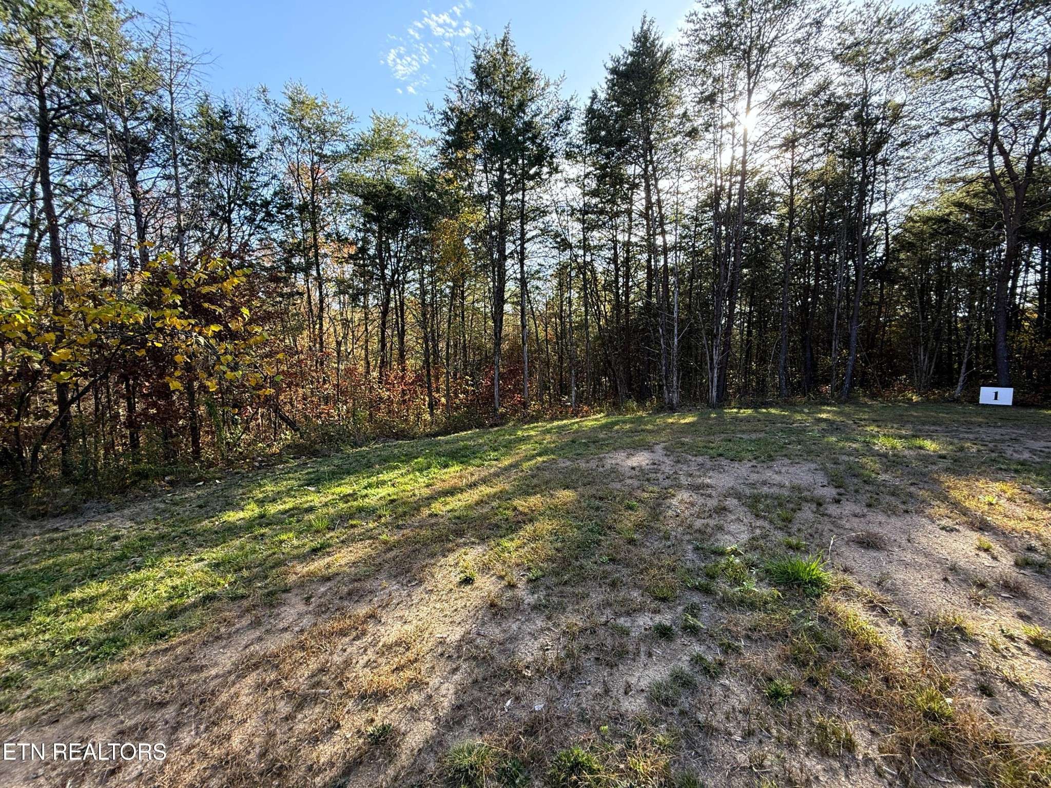 13 Topaz Way, Parrottsville, TN 37843