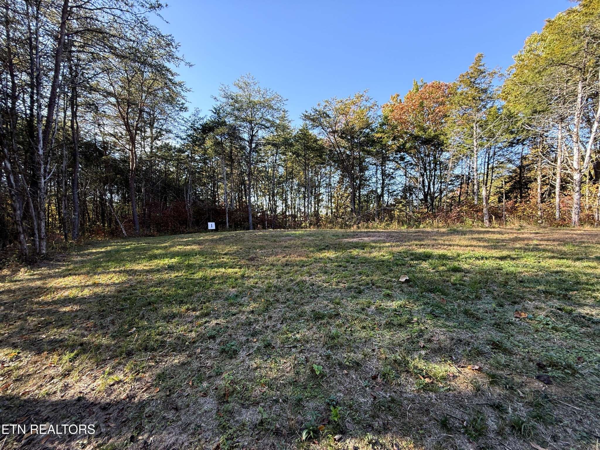 13 Topaz Way, Parrottsville, TN 37843