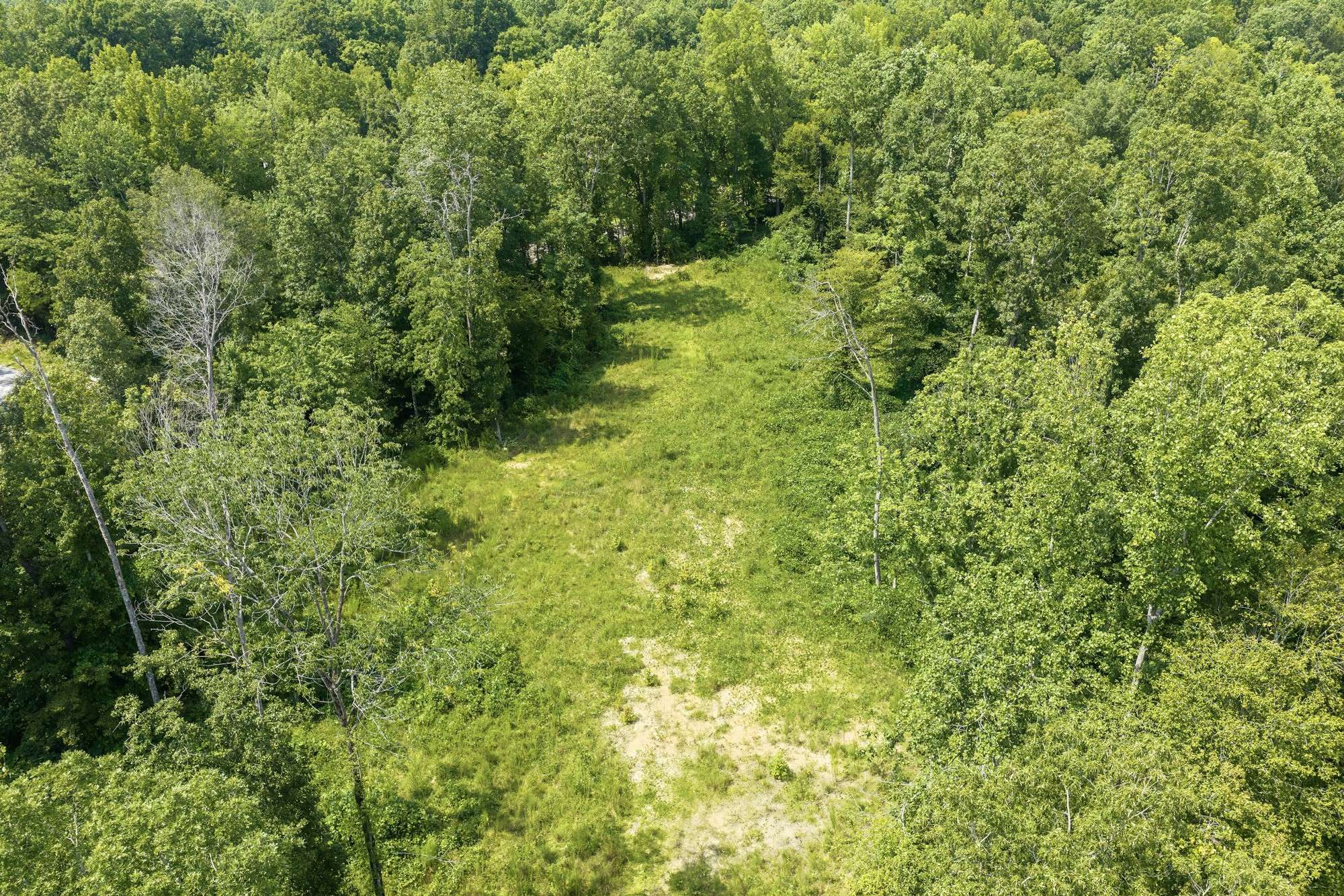 0 Holladay Rd, Parsons, TN 38363
