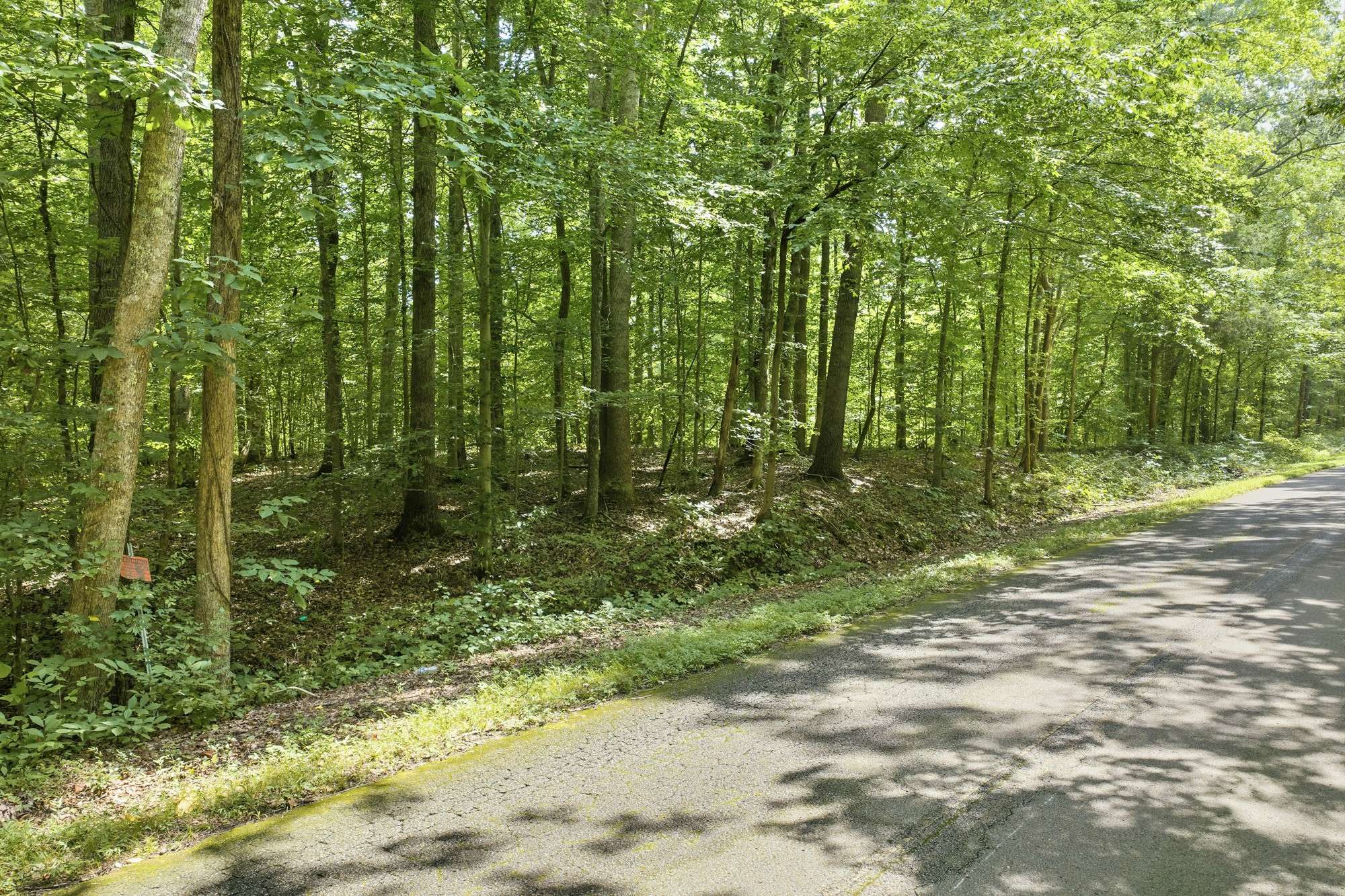 0 Holladay Rd, Parsons, TN 38363