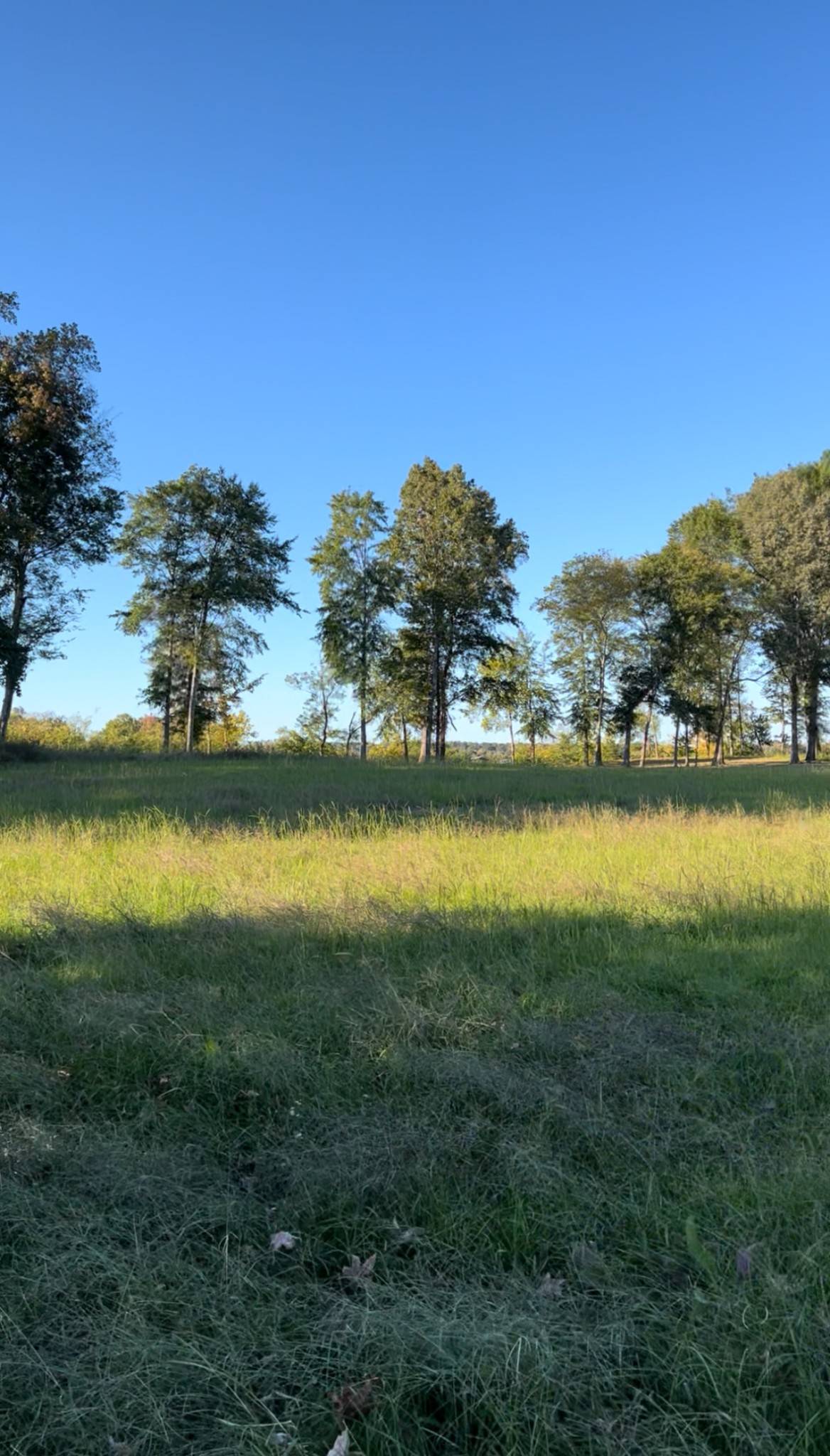5335 Cravens Rd, Savannah, TN 38372
