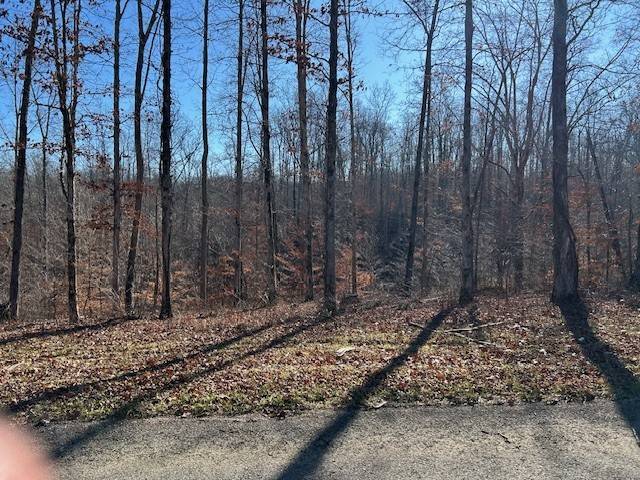 7 Slaughter Rd #N, Primm Springs, TN 38476