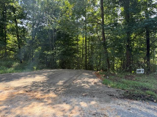 7 Slaughter Rd #N, Primm Springs, TN 38476
