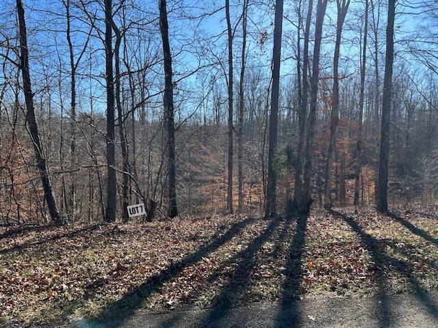 7 Slaughter Rd #N, Primm Springs, TN 38476