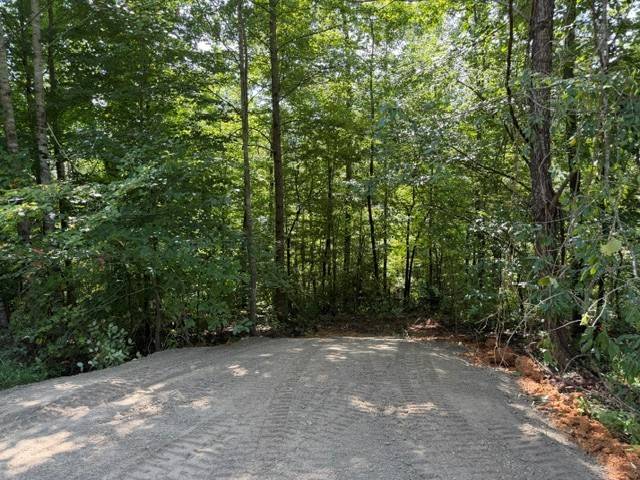 7 Slaughter Rd #N, Primm Springs, TN 38476