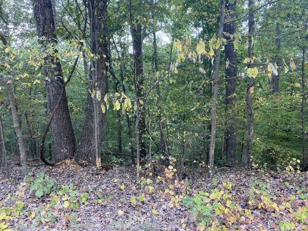 1241 Broadway Ave, New Johnsonville, TN 37134