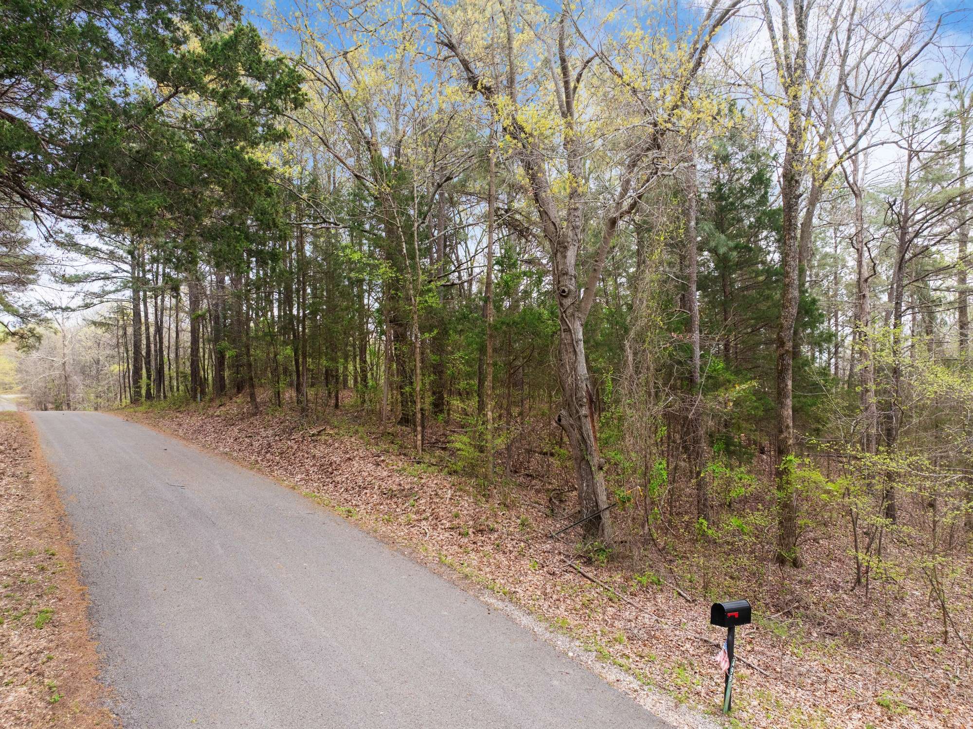 0 Branch Loop, Big Sandy, TN 38221