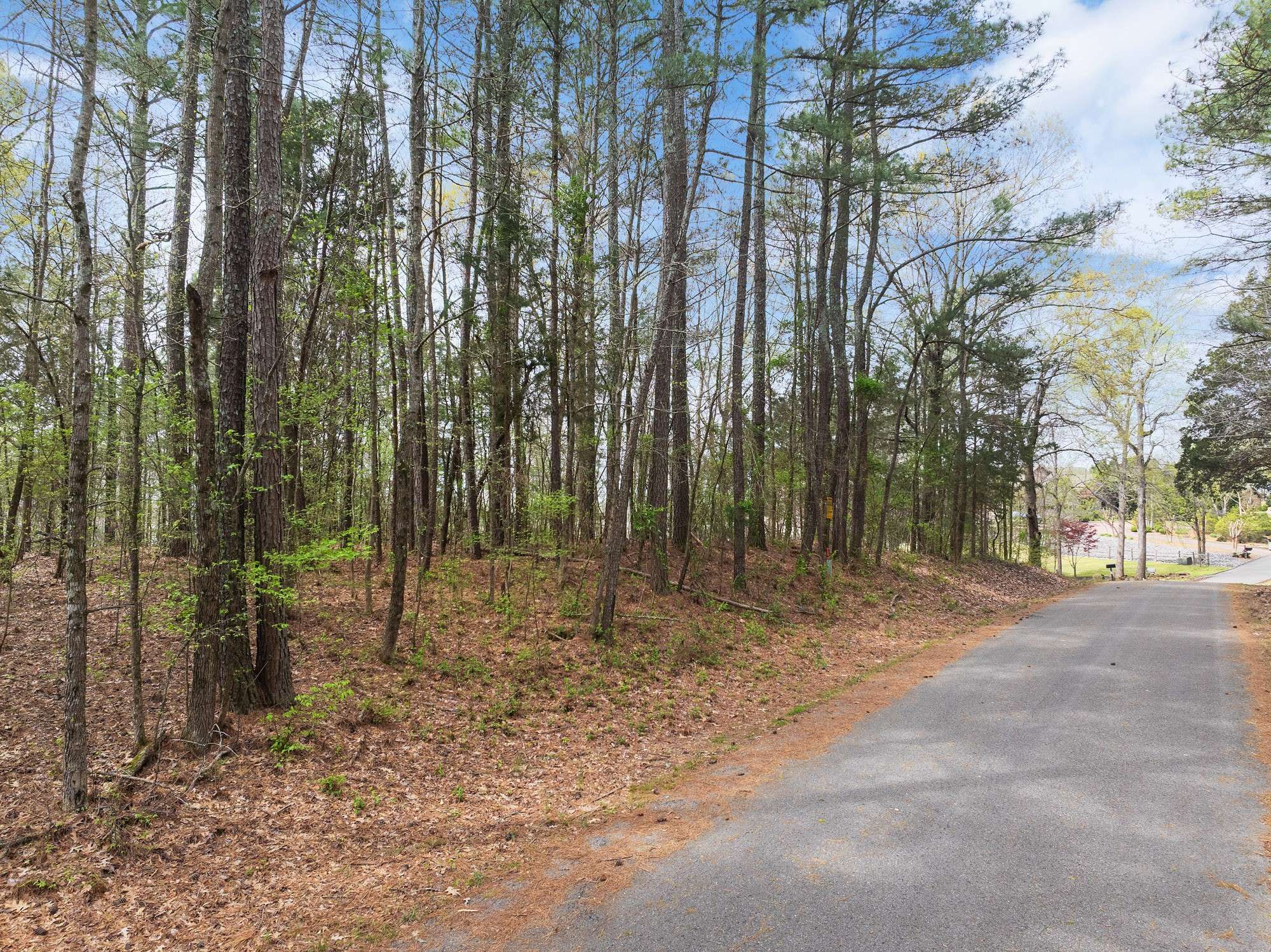 0 Branch Loop, Big Sandy, TN 38221