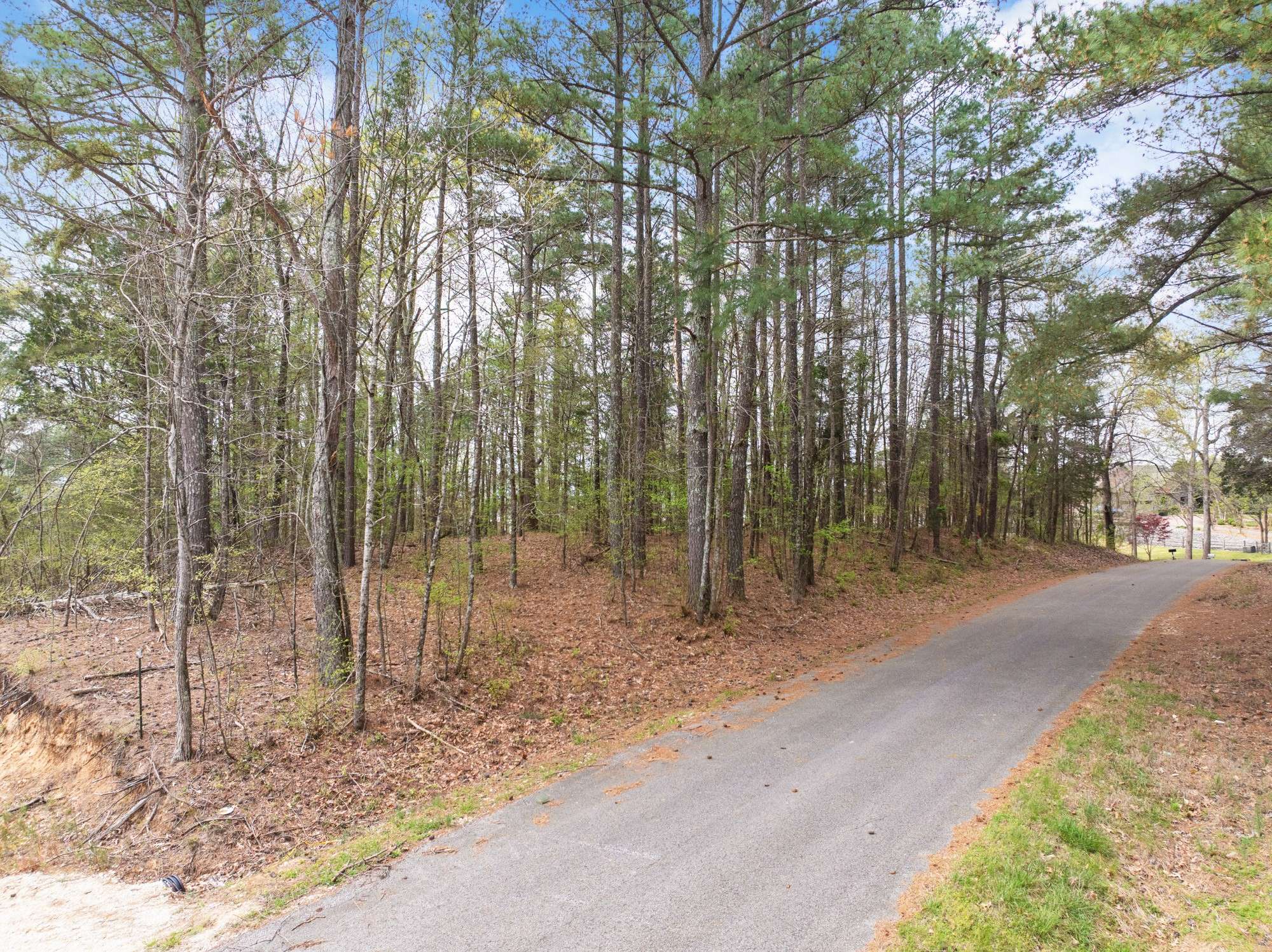 0 Branch Loop, Big Sandy, TN 38221