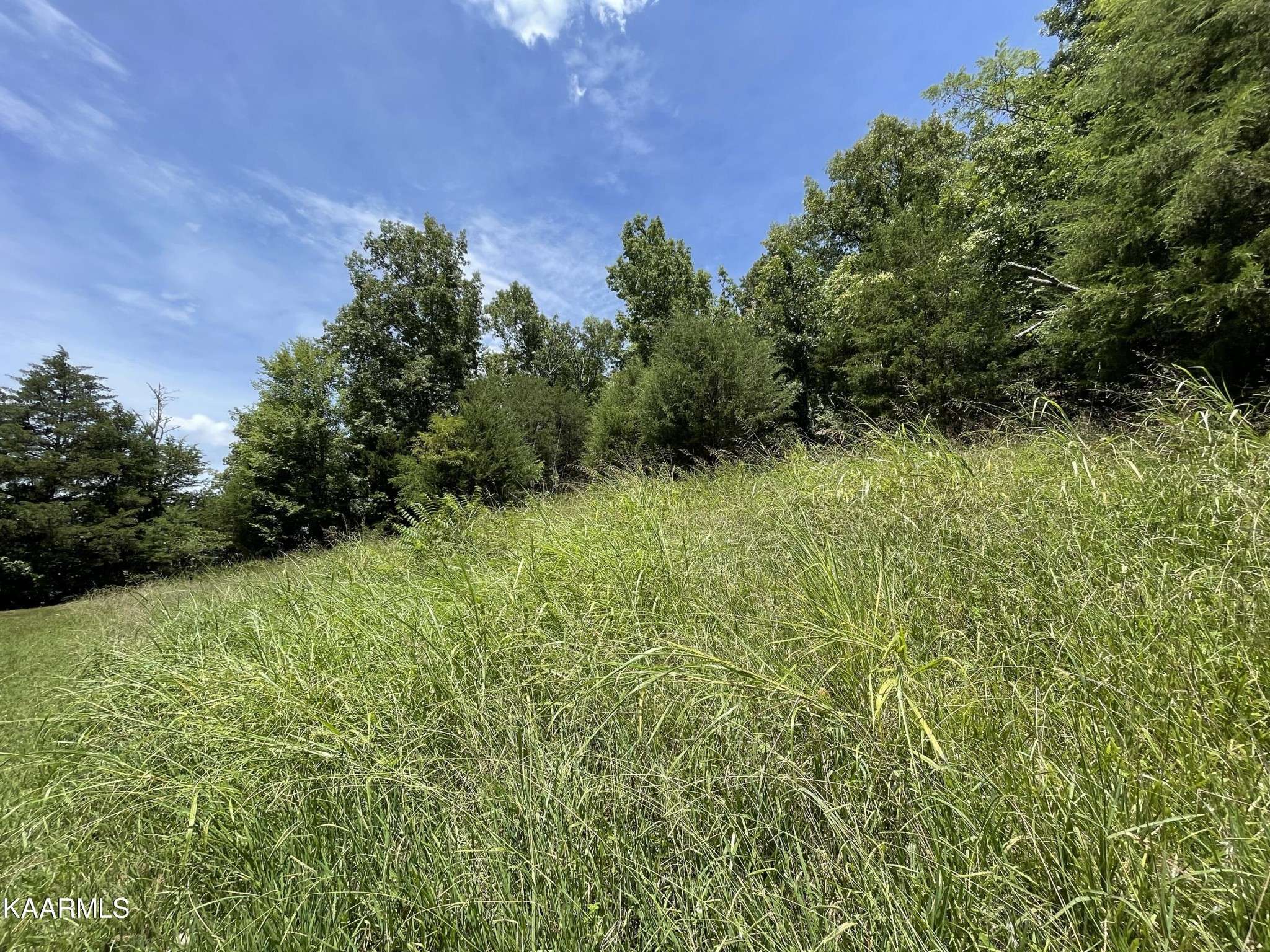 102 Lakeshore Way, Newport, TN 37821