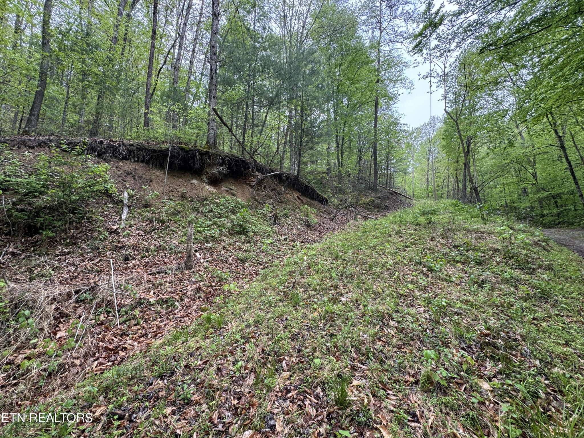 376 Summer House Hollow Rd, Del Rio, TN 37727