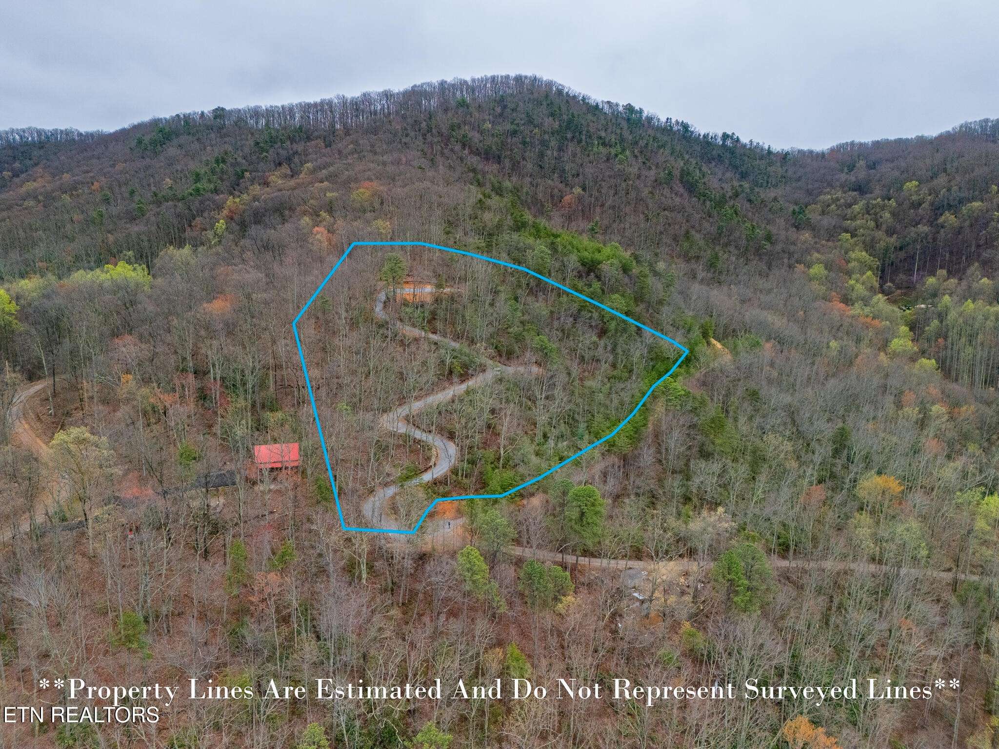 393 Green Forest Rd, Cosby, TN 37722