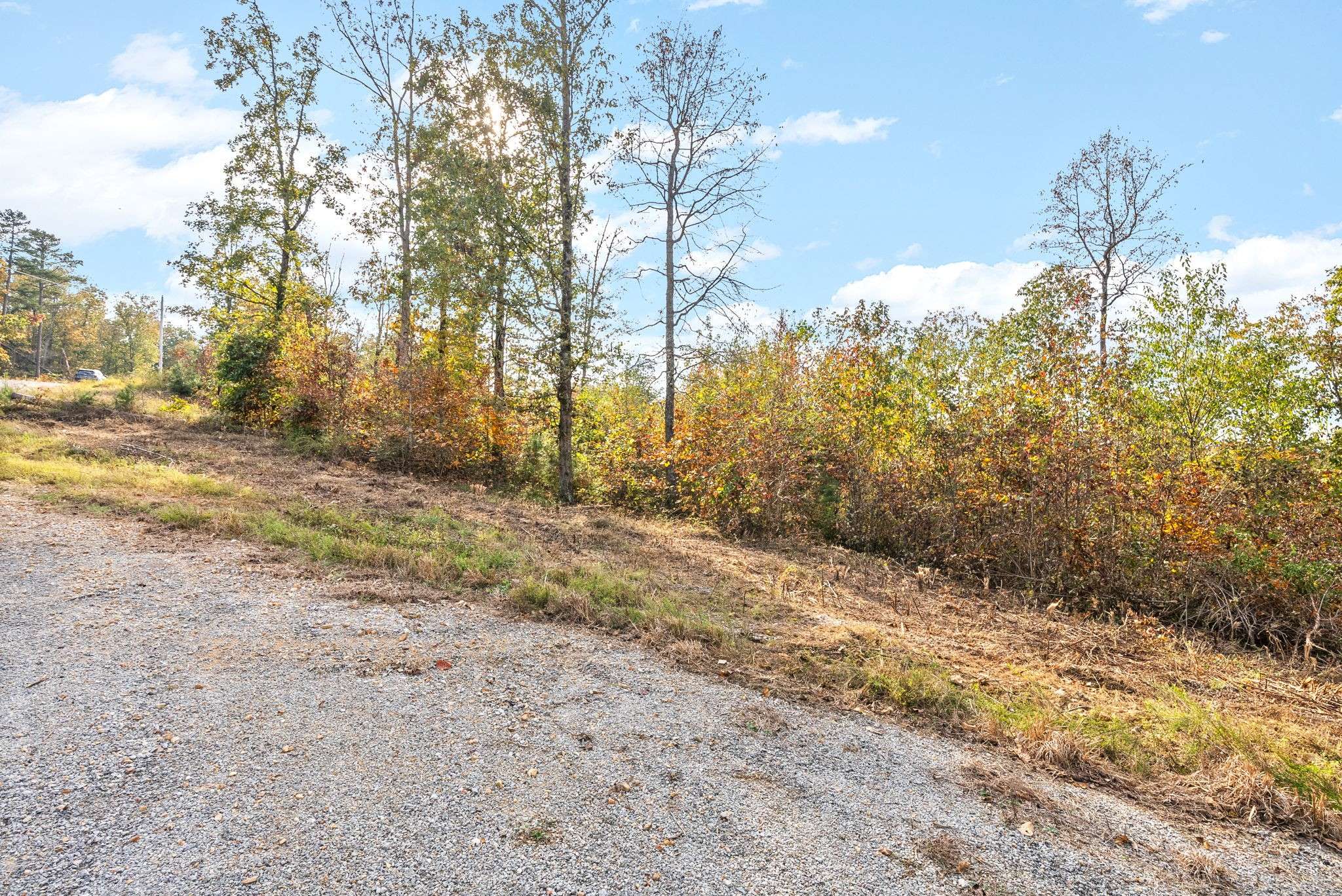 0 Crestwood Dr, Waverly, TN 37185