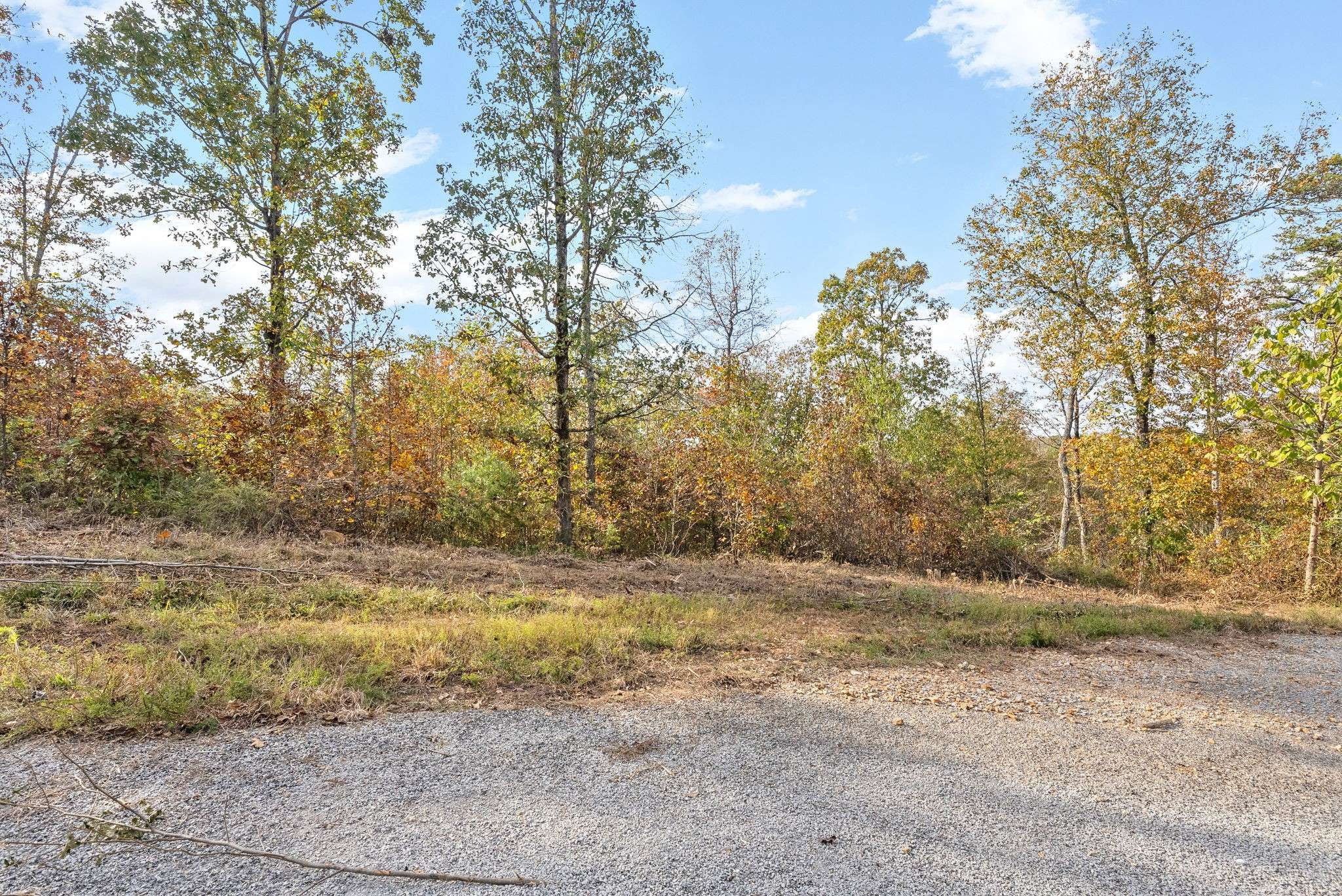 0 Crestwood Dr, Waverly, TN 37185