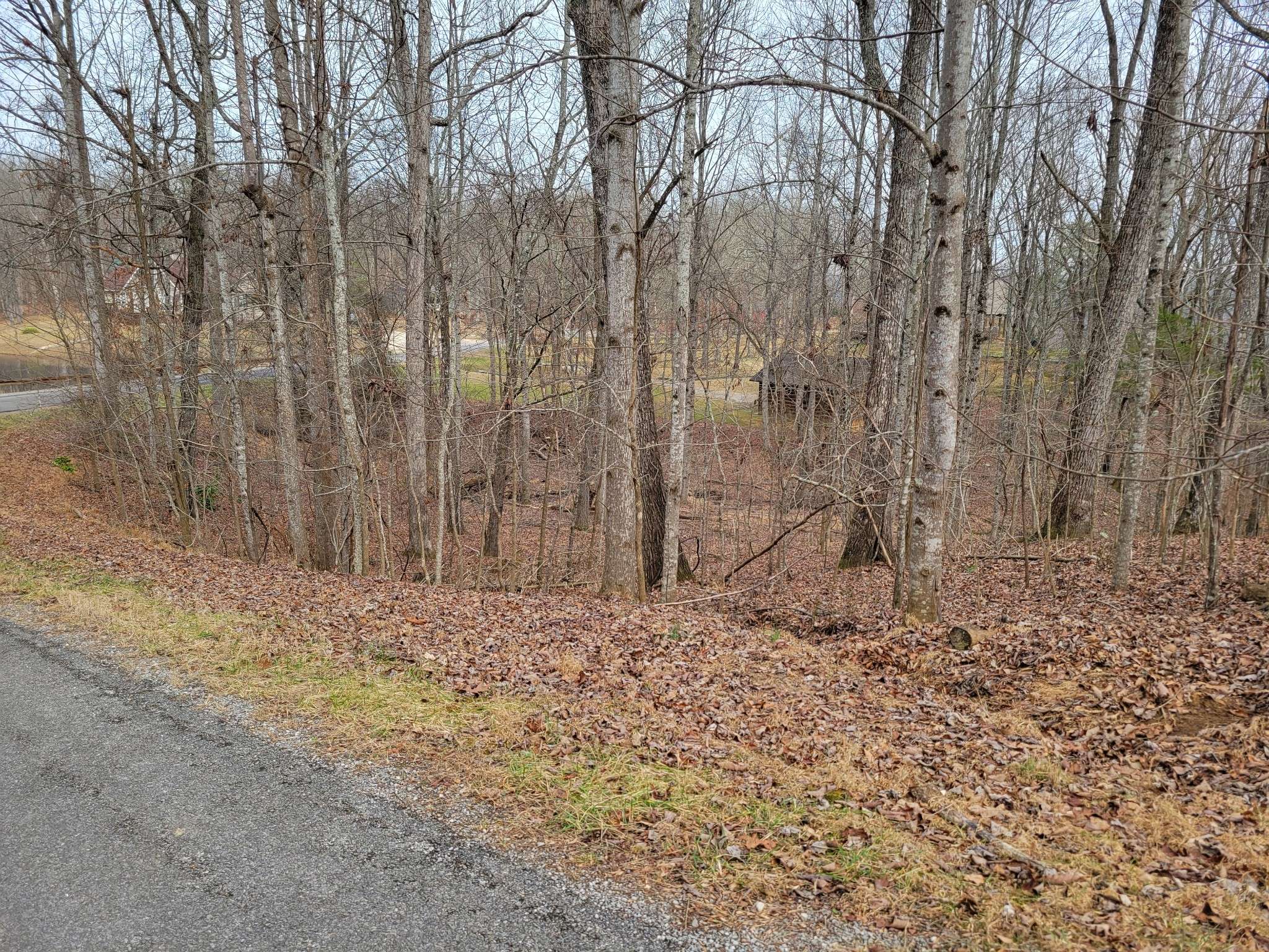 23 Laurel Lake Drive, Monteagle, TN 37356