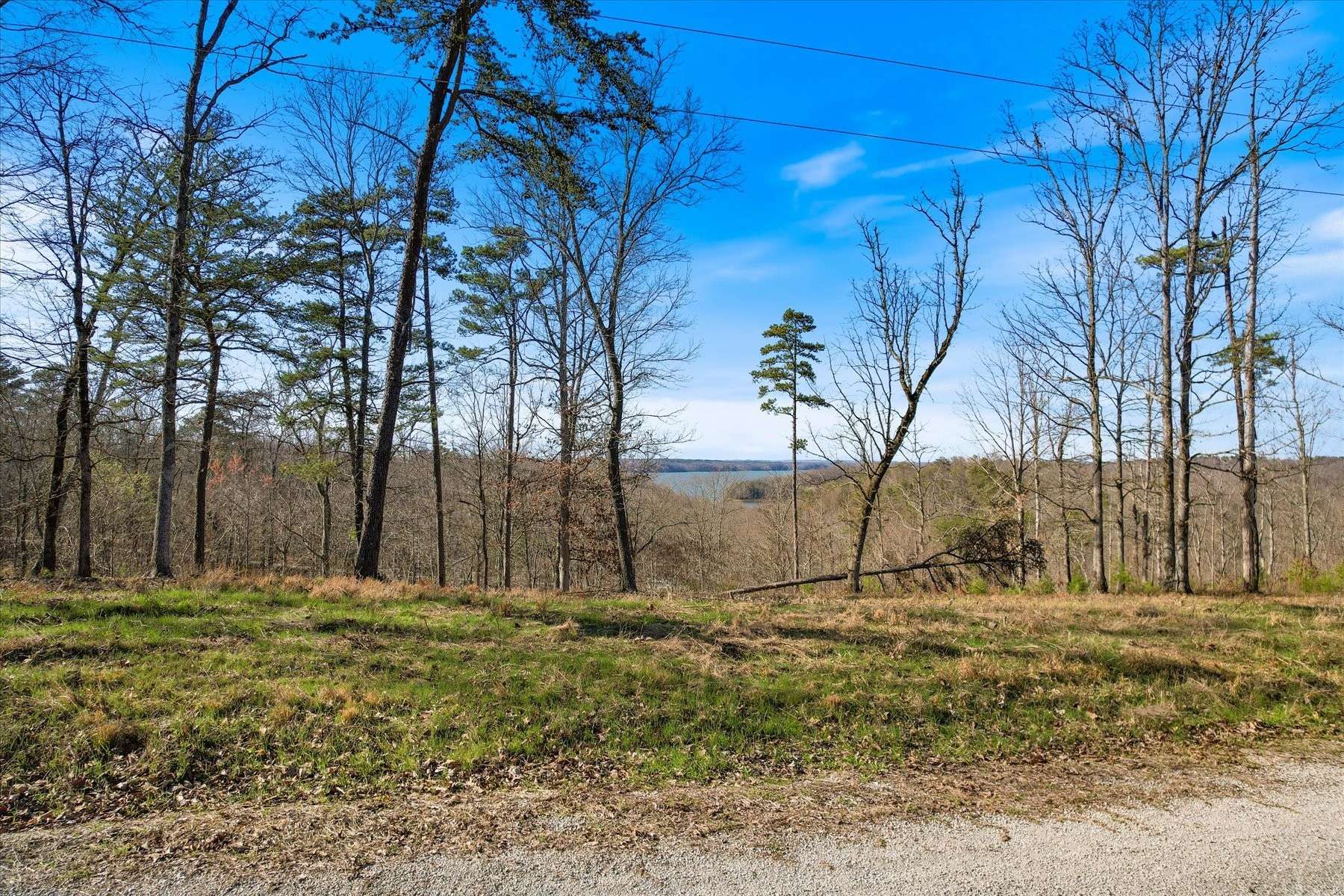 0 Crestwood Dr, Waverly, TN 37185