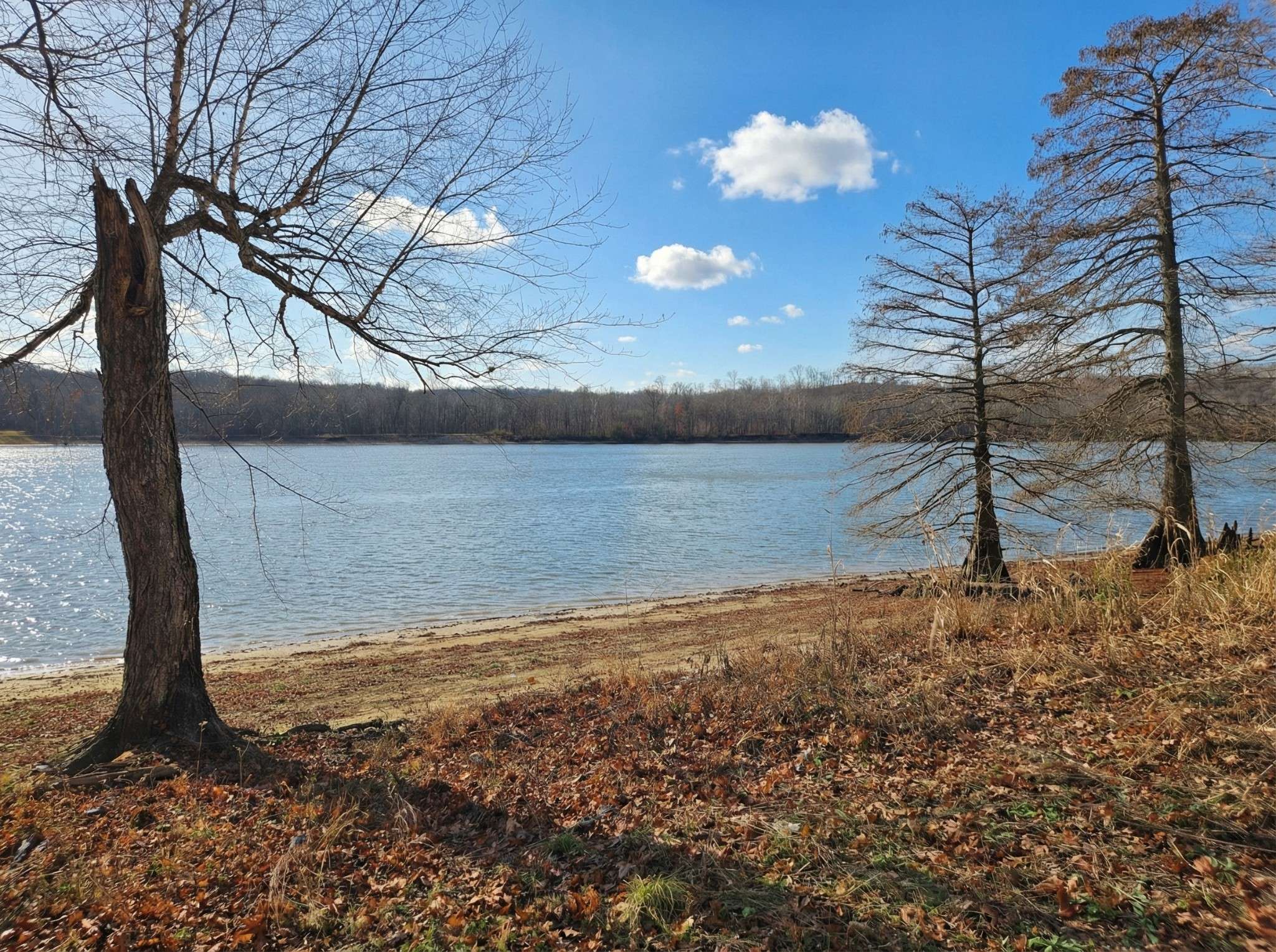 403 Hardin Bottom Rd, Clifton, TN 38425