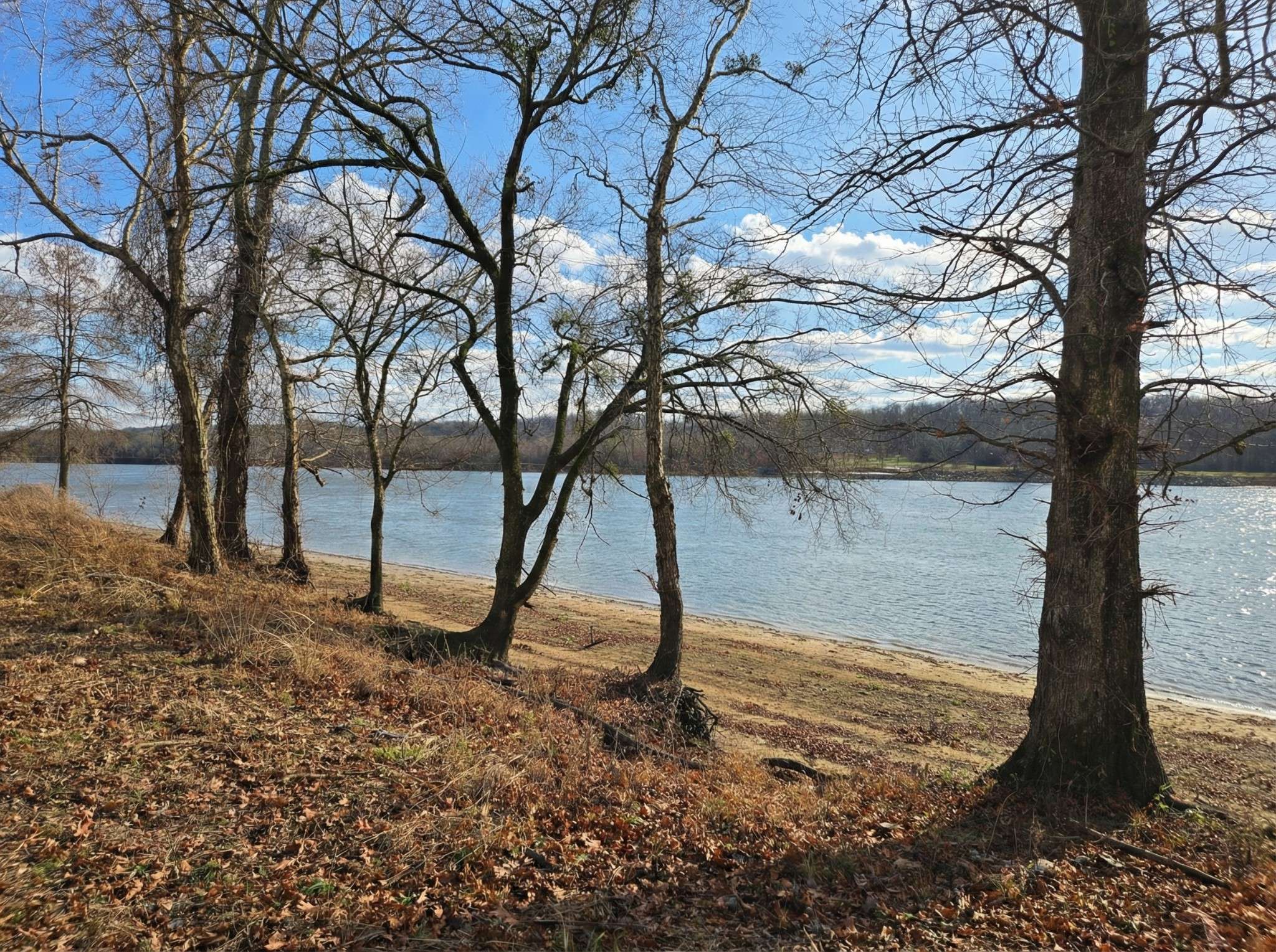 403 Hardin Bottom Rd, Clifton, TN 38425