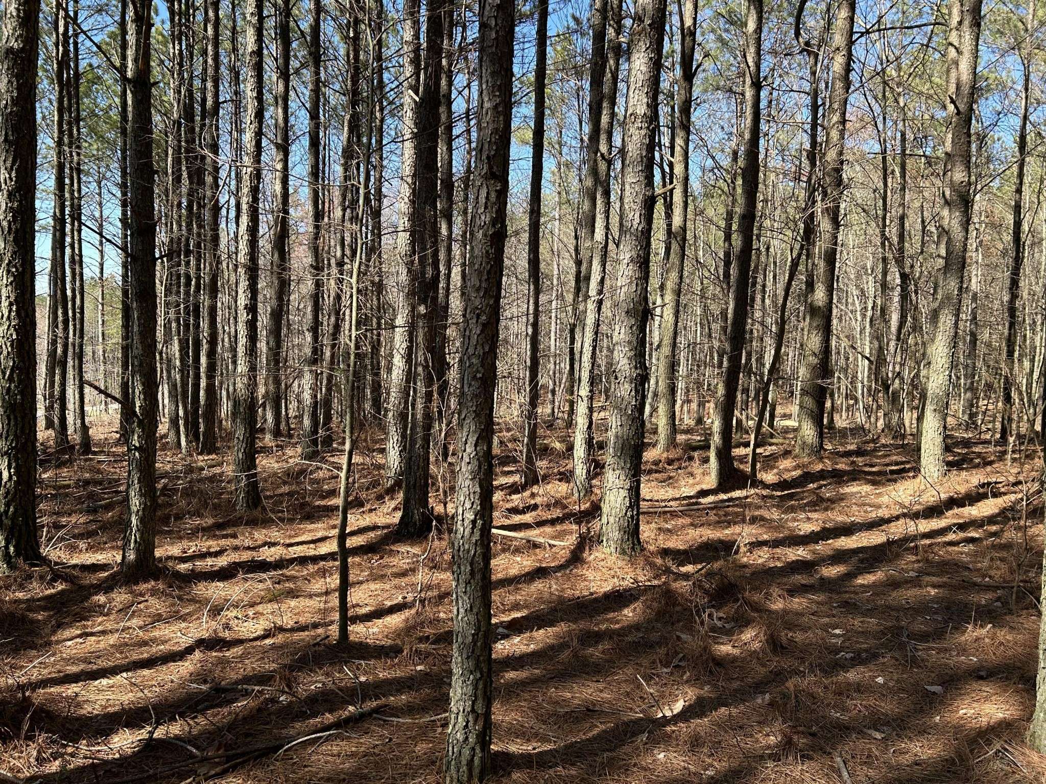 4210 Raulston Fls Road, Jasper, TN 37347