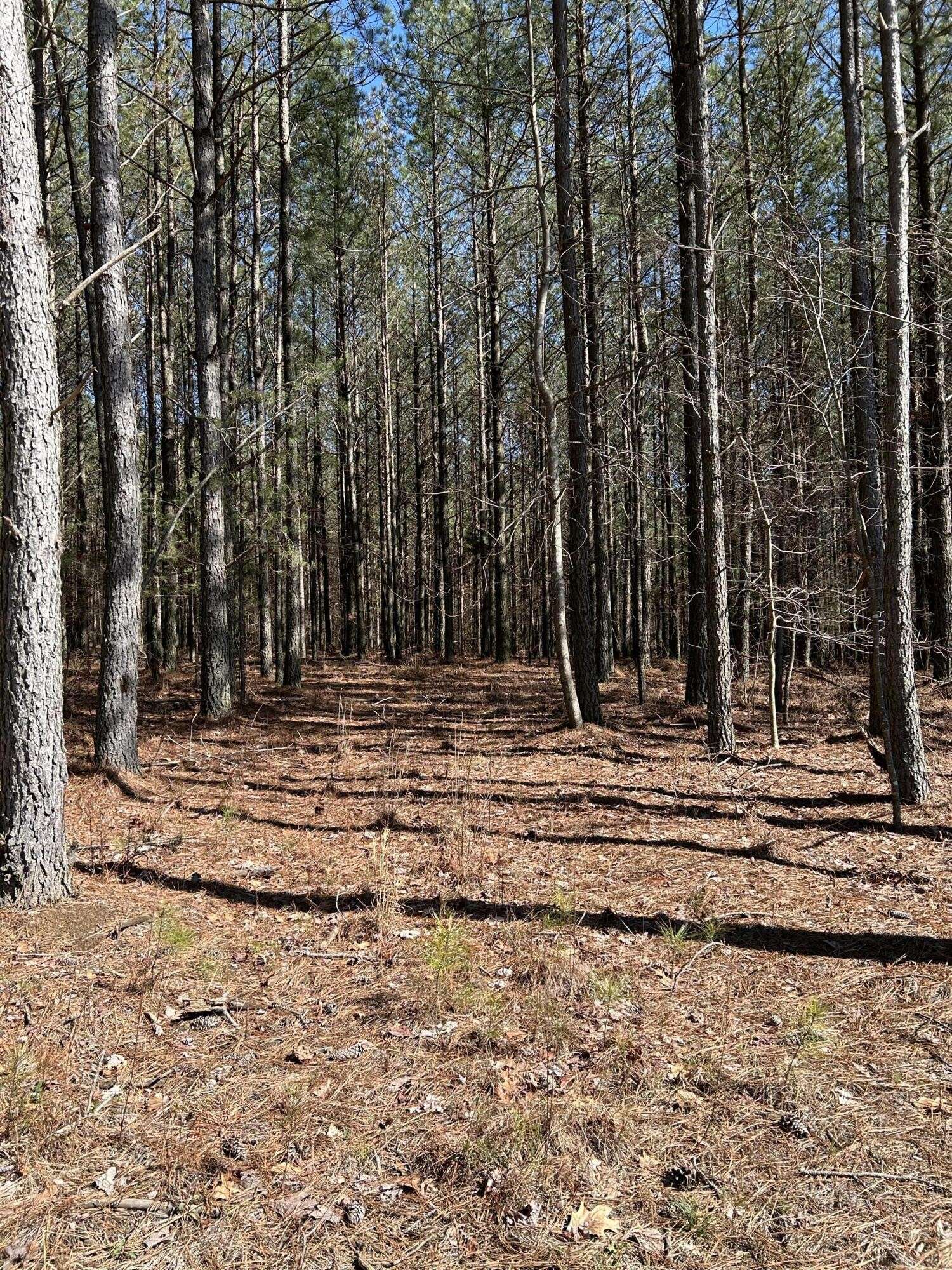 4210 Raulston Fls Road, Jasper, TN 37347