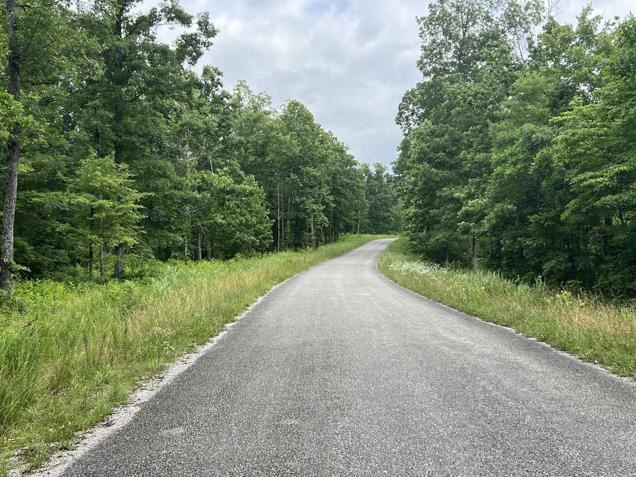9 Slaughter Rd, Primm Springs, TN 38476