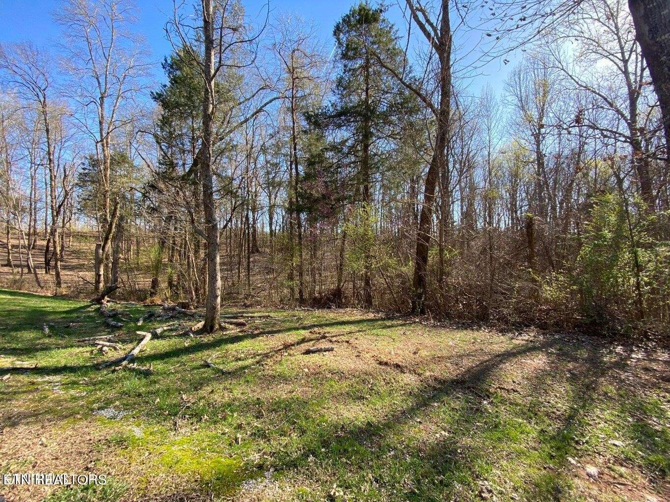 0 Eagle Ridge Drive, Rockwood, TN 37854