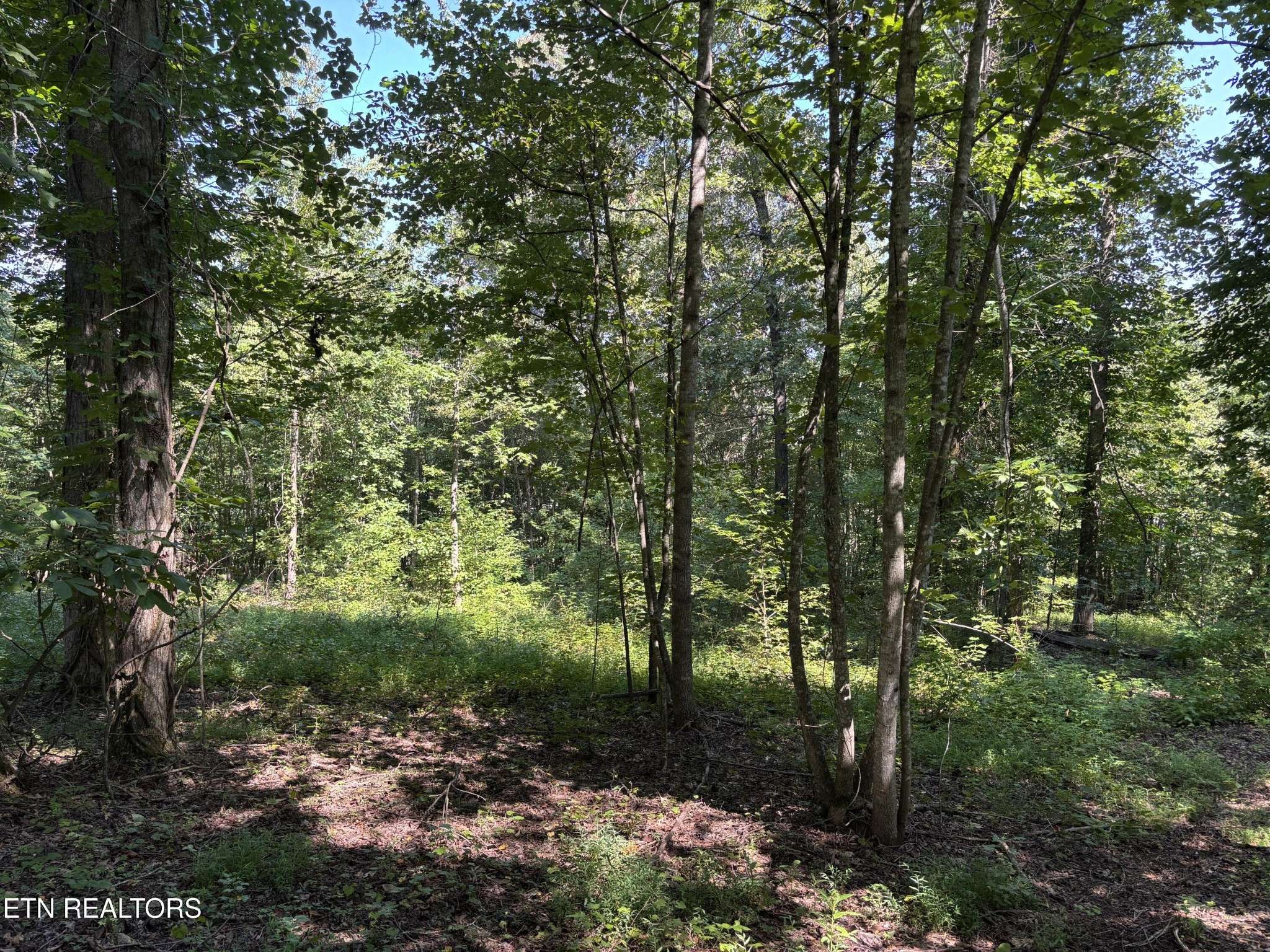371 Walking Horse Tr, Rockwood, TN 37854