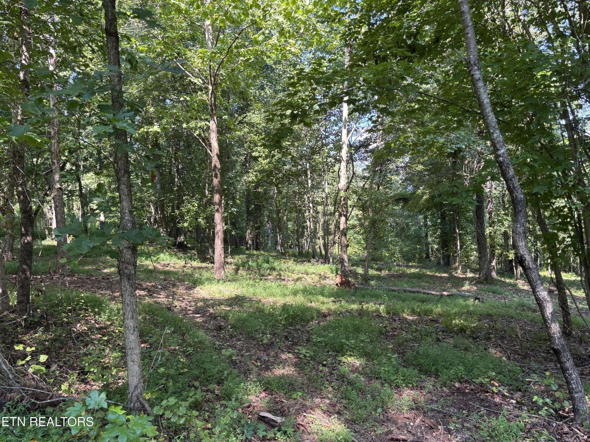 371 Walking Horse Tr, Rockwood, TN 37854