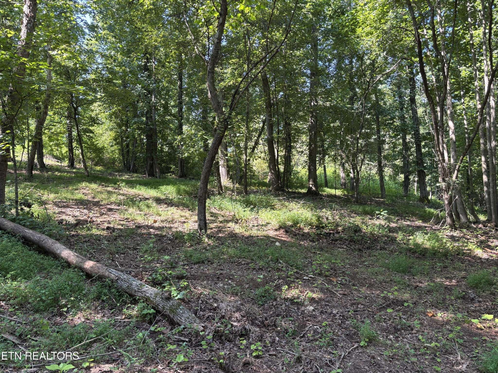 371 Walking Horse Tr, Rockwood, TN 37854
