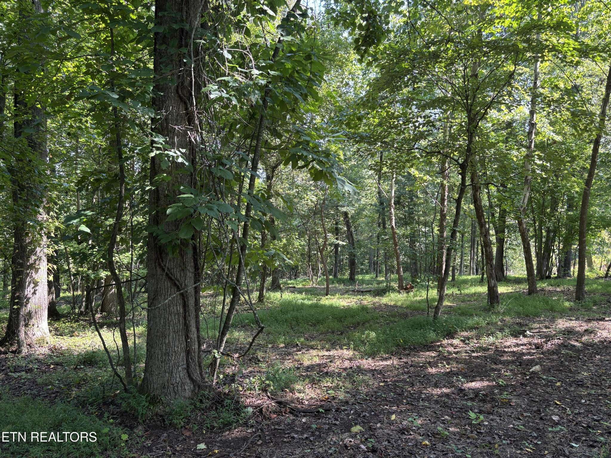 371 Walking Horse Tr, Rockwood, TN 37854