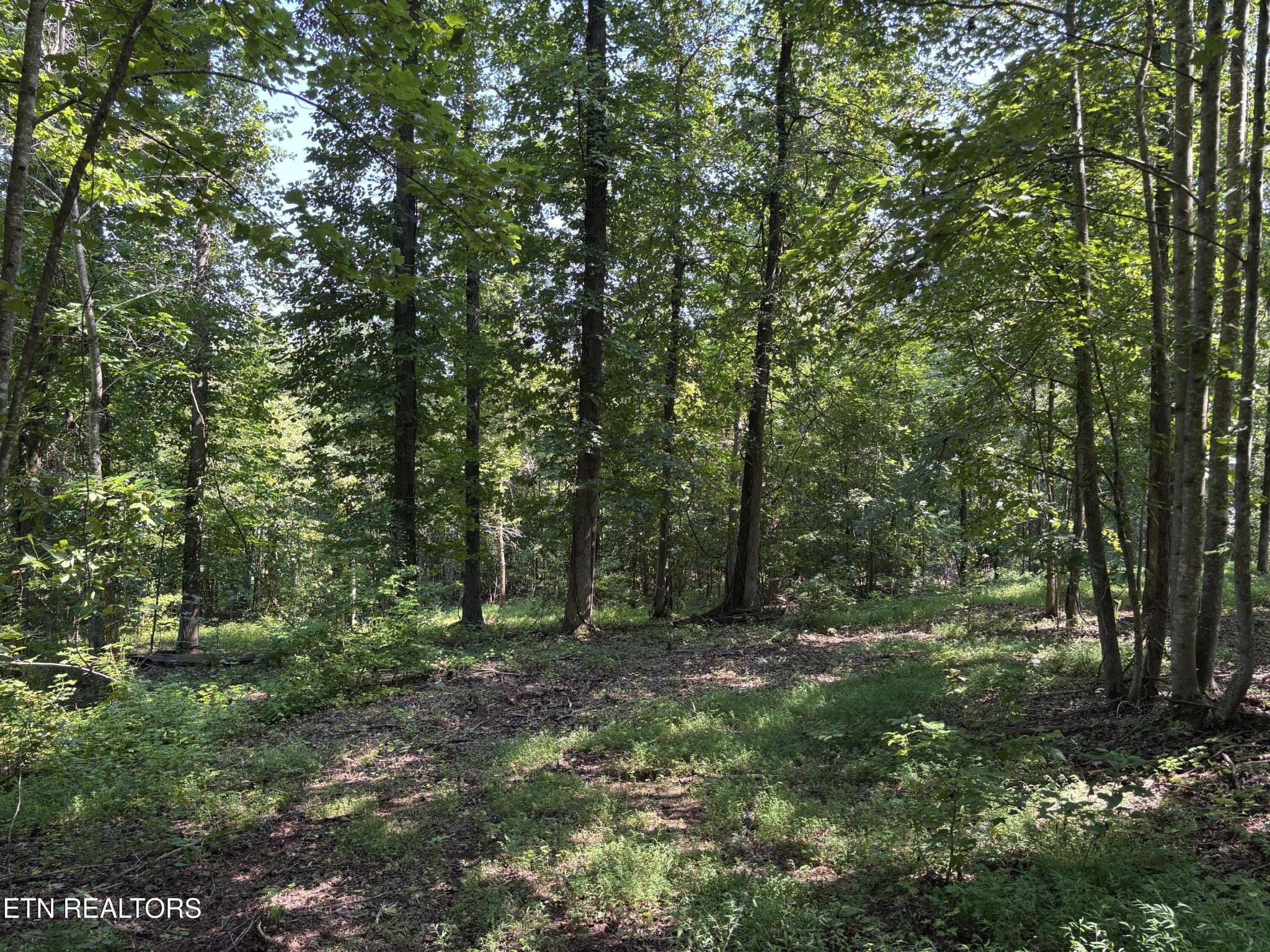 371 Walking Horse Tr, Rockwood, TN 37854