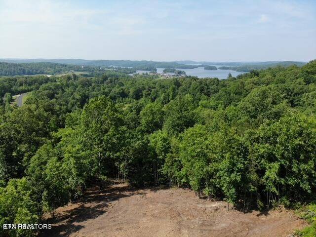 0 W Mountain Drive, Rockwood, TN 37854