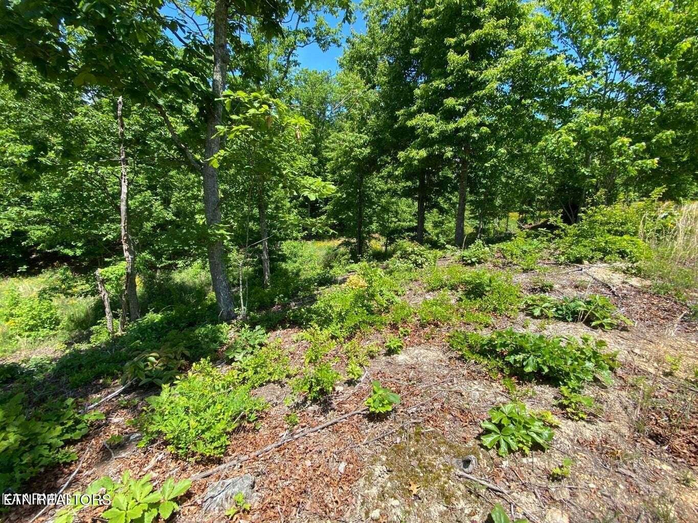 0 Water View Drive, Rockwood, TN 37854