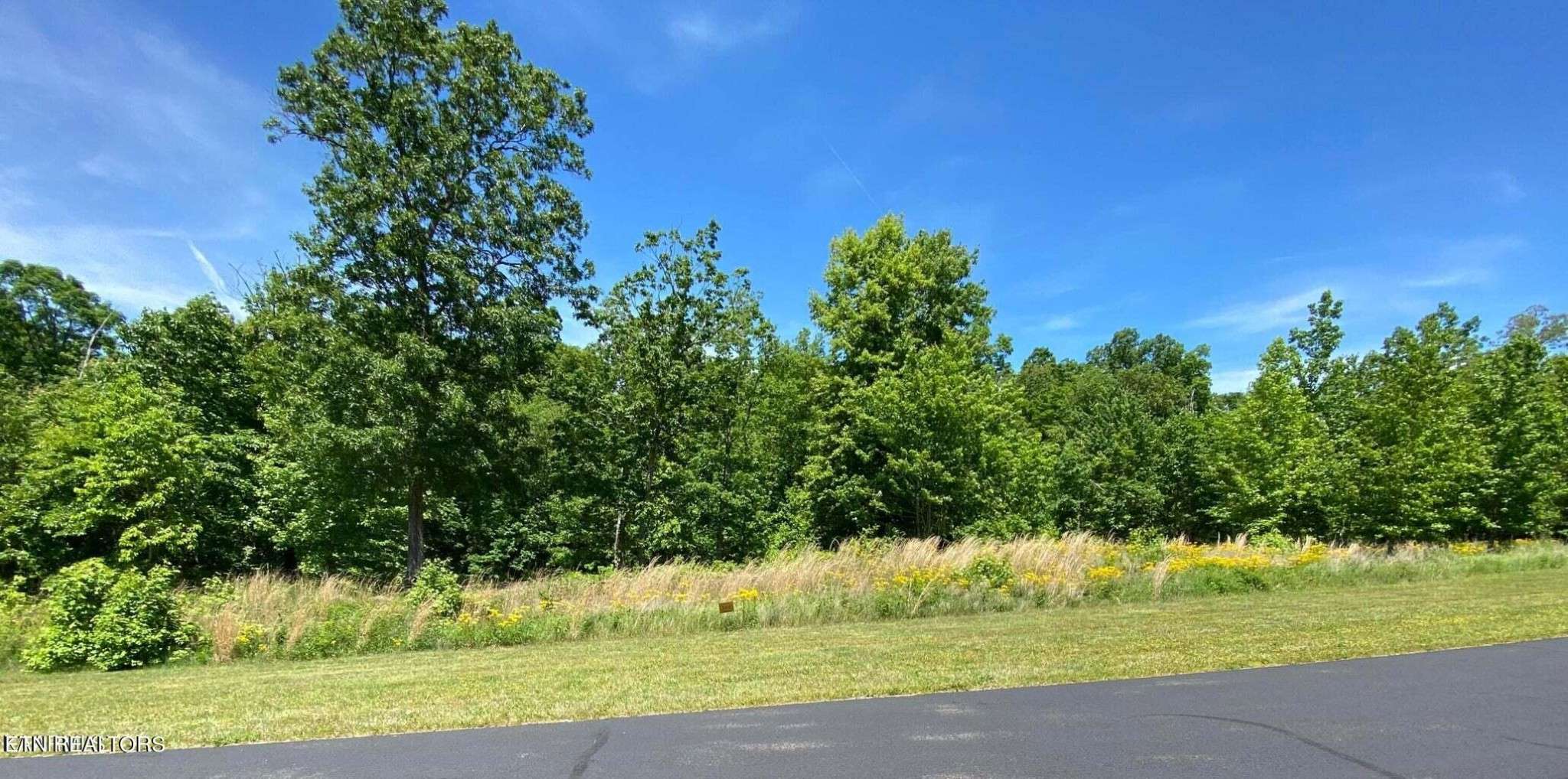 0 Water View Drive, Rockwood, TN 37854