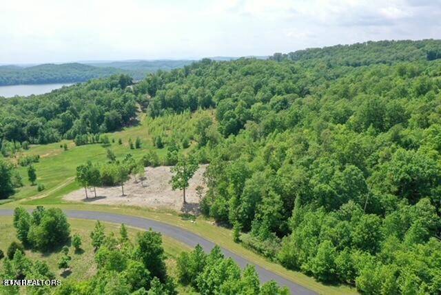 0 Water View Drive, Rockwood, TN 37854