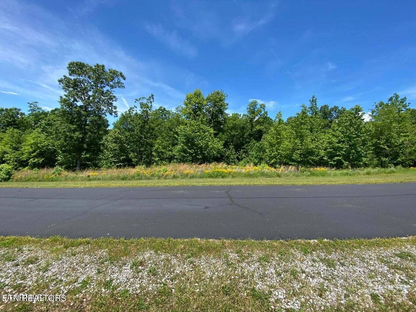0 Water View Drive, Rockwood, TN 37854