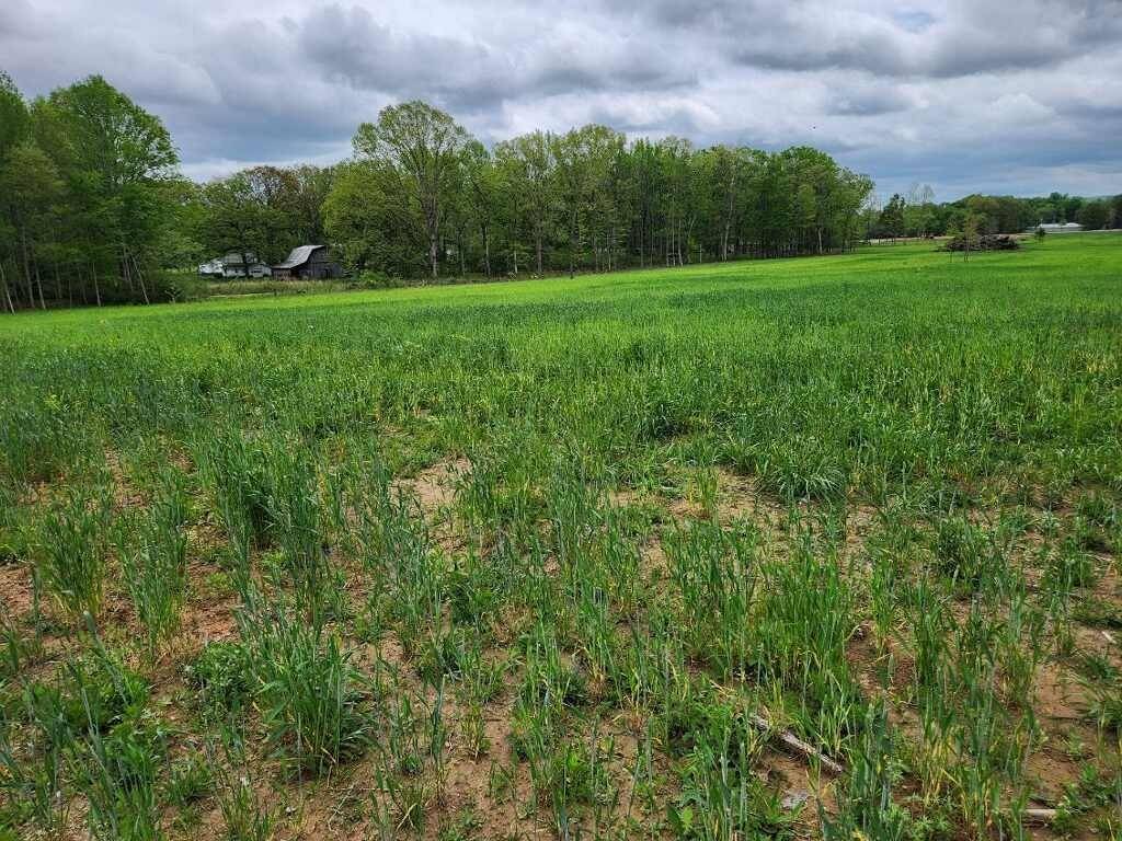 0 Indian Creek Rd, Huntland, TN 37345