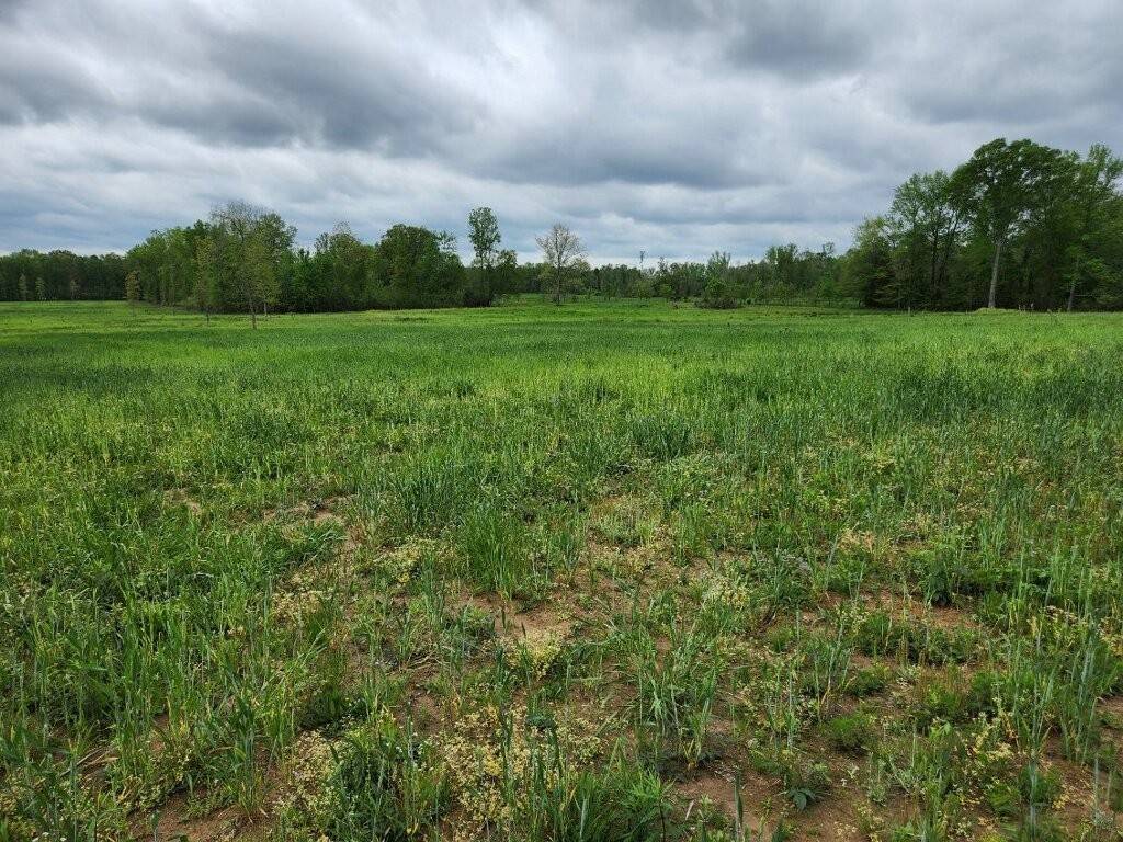 0 Indian Creek Rd, Huntland, TN 37345