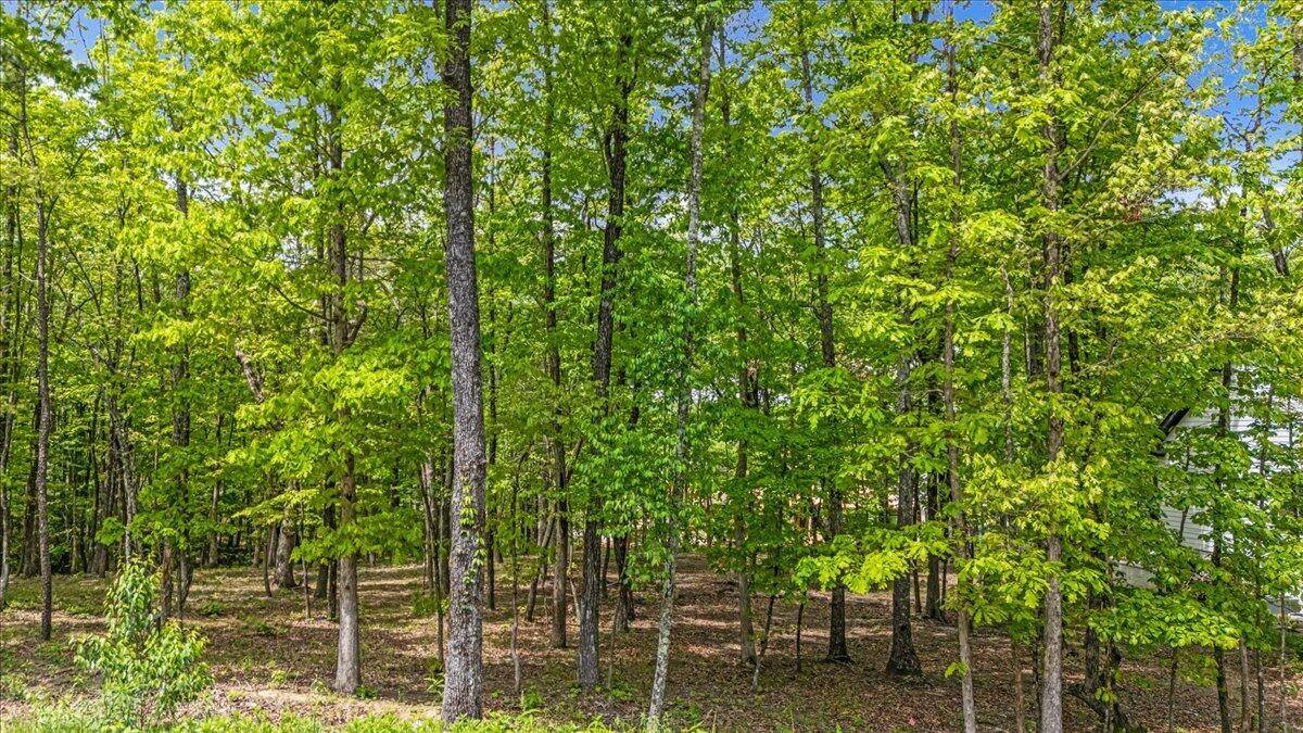 4288 Amethyst Road, Chattanooga, TN 37419