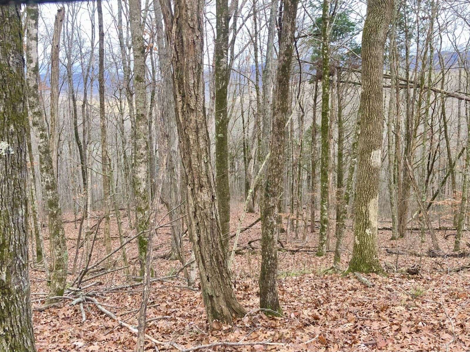 0 Monterey Hwy, Monterey, TN 38574