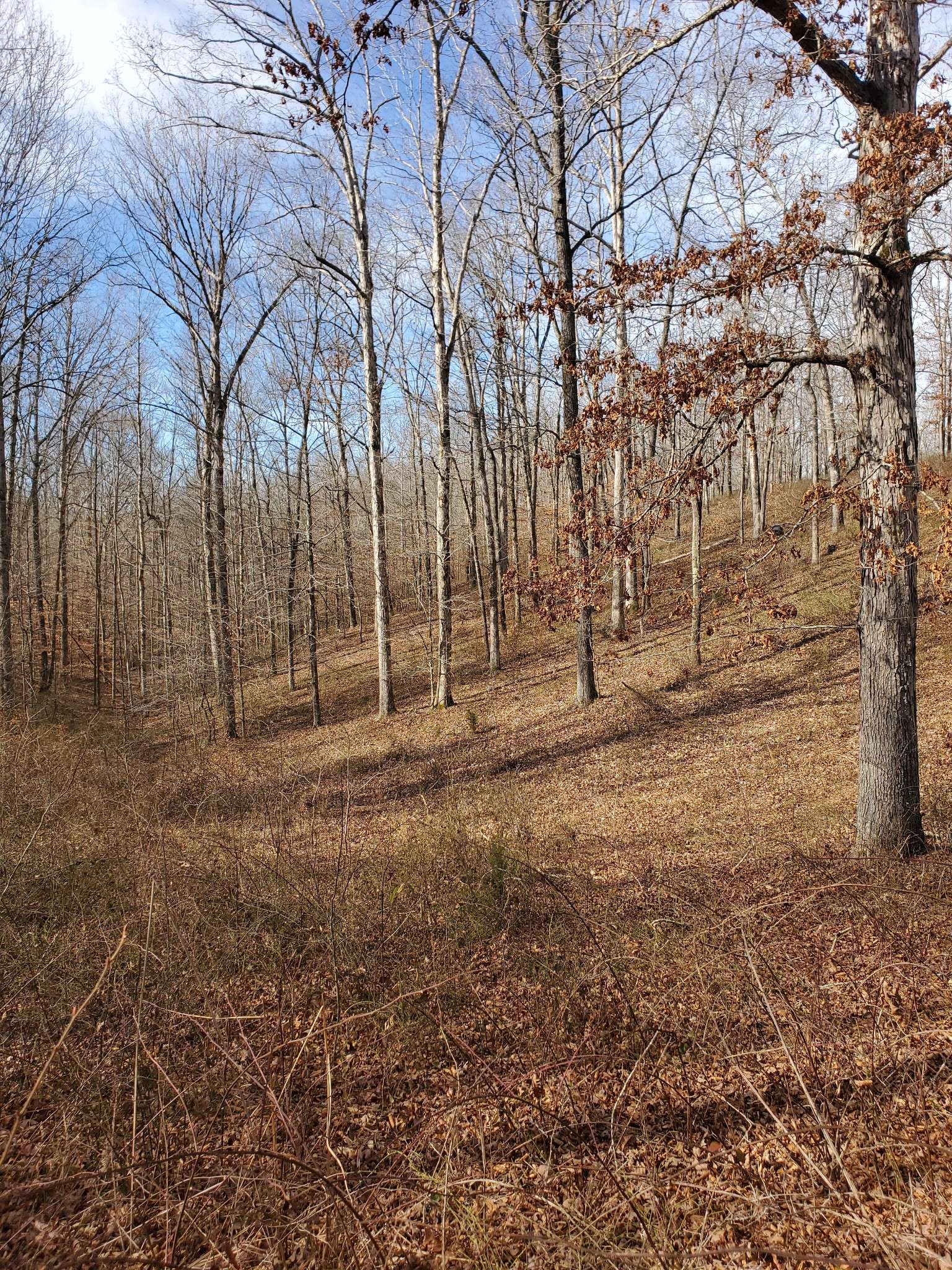 0 Hidden Highlands Ct, Mc Ewen, TN 37101