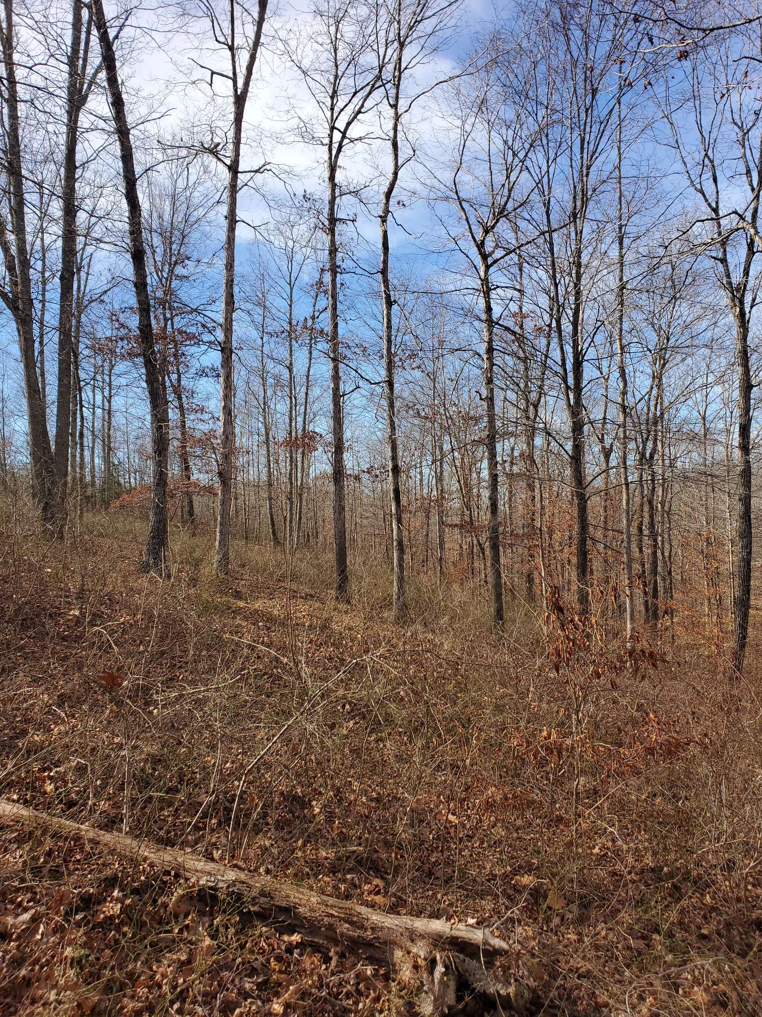 0 Hidden Highlands Ct, Mc Ewen, TN 37101