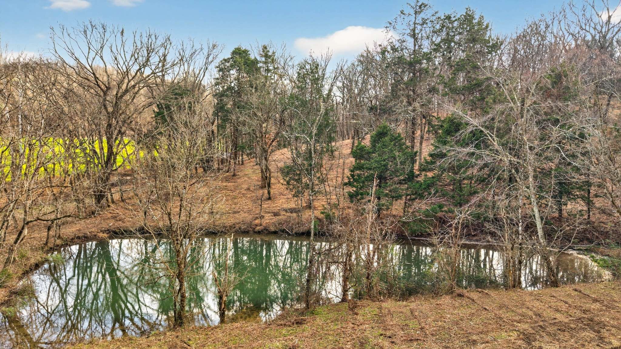 2955 Bostic Rd, Nolensville, TN 37135