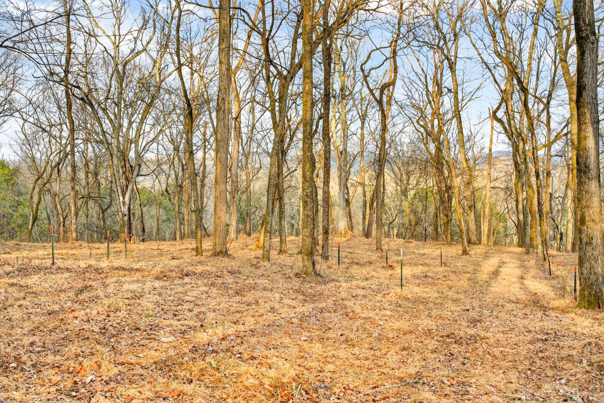 2955 Bostic Rd, Nolensville, TN 37135